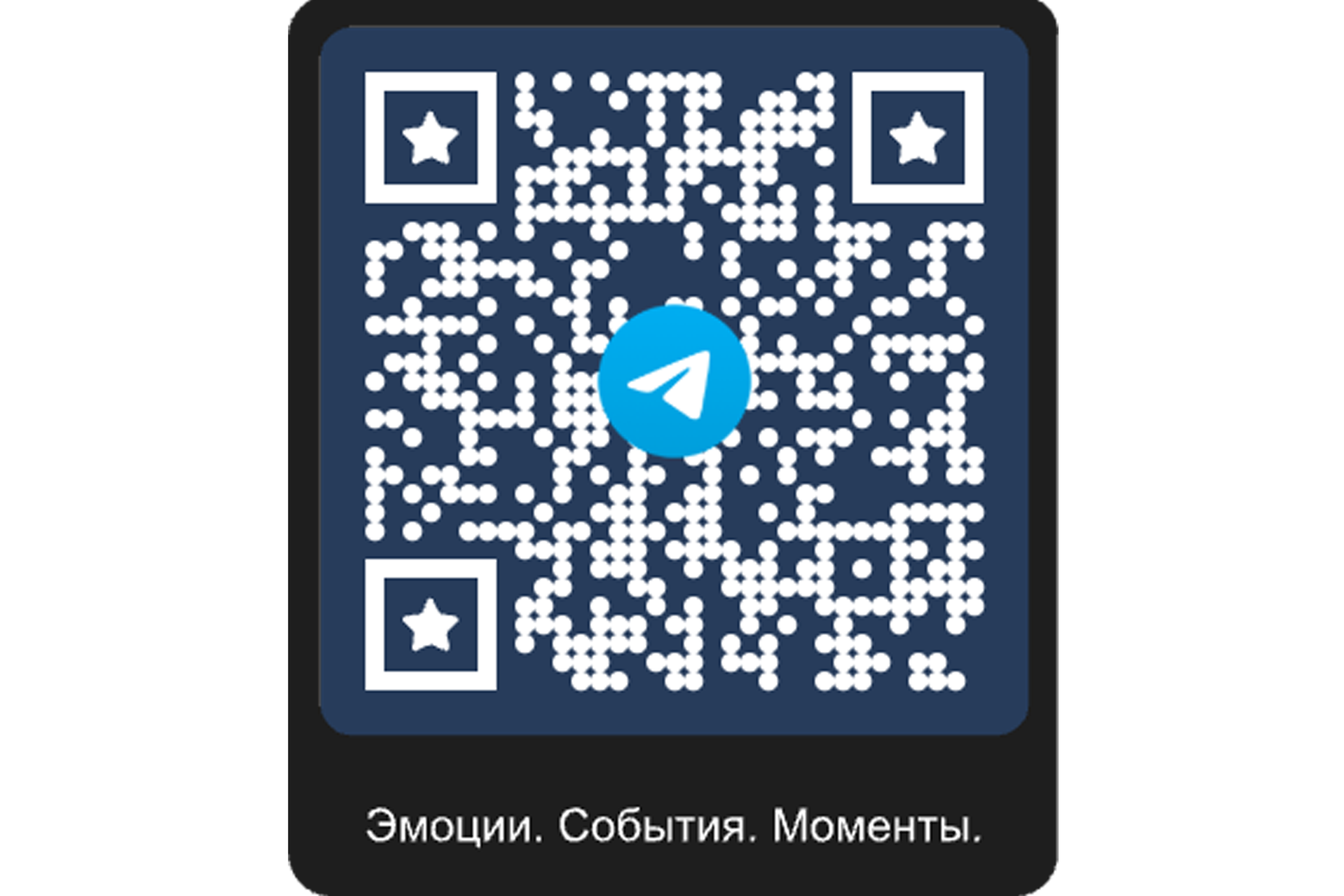 С Новым 2026 годом!. Фотограф Светлана Петрова