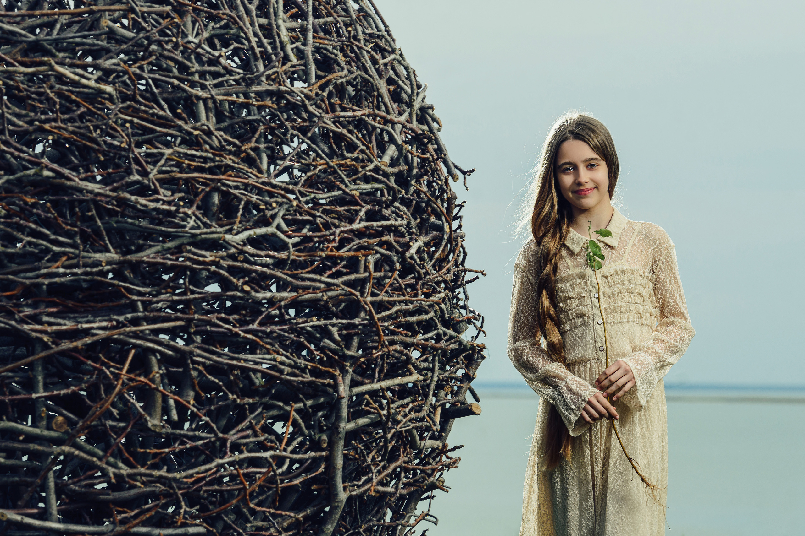 Шар — проводник