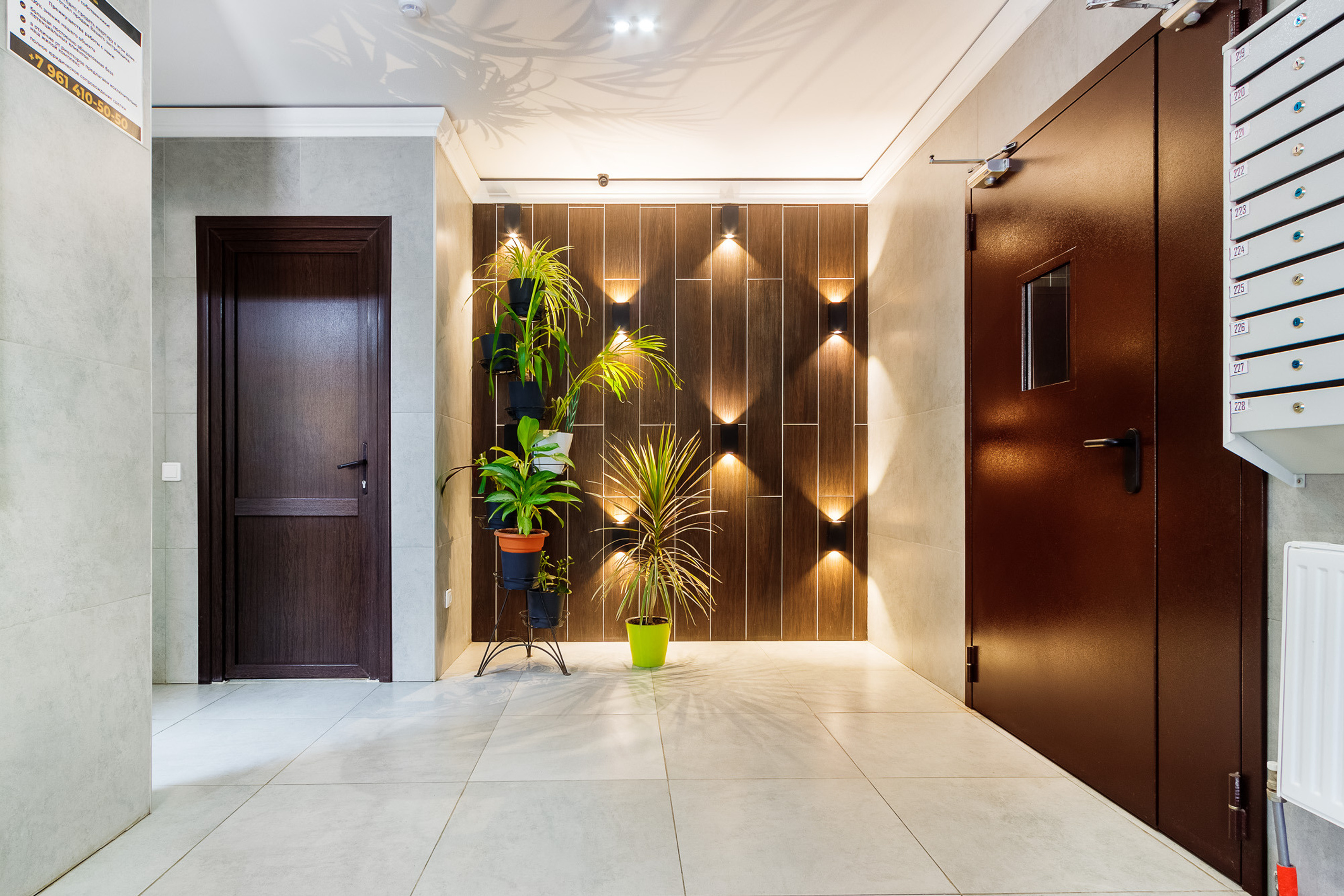 Оформление стены с использованием декоративных светильников и комнатных растений