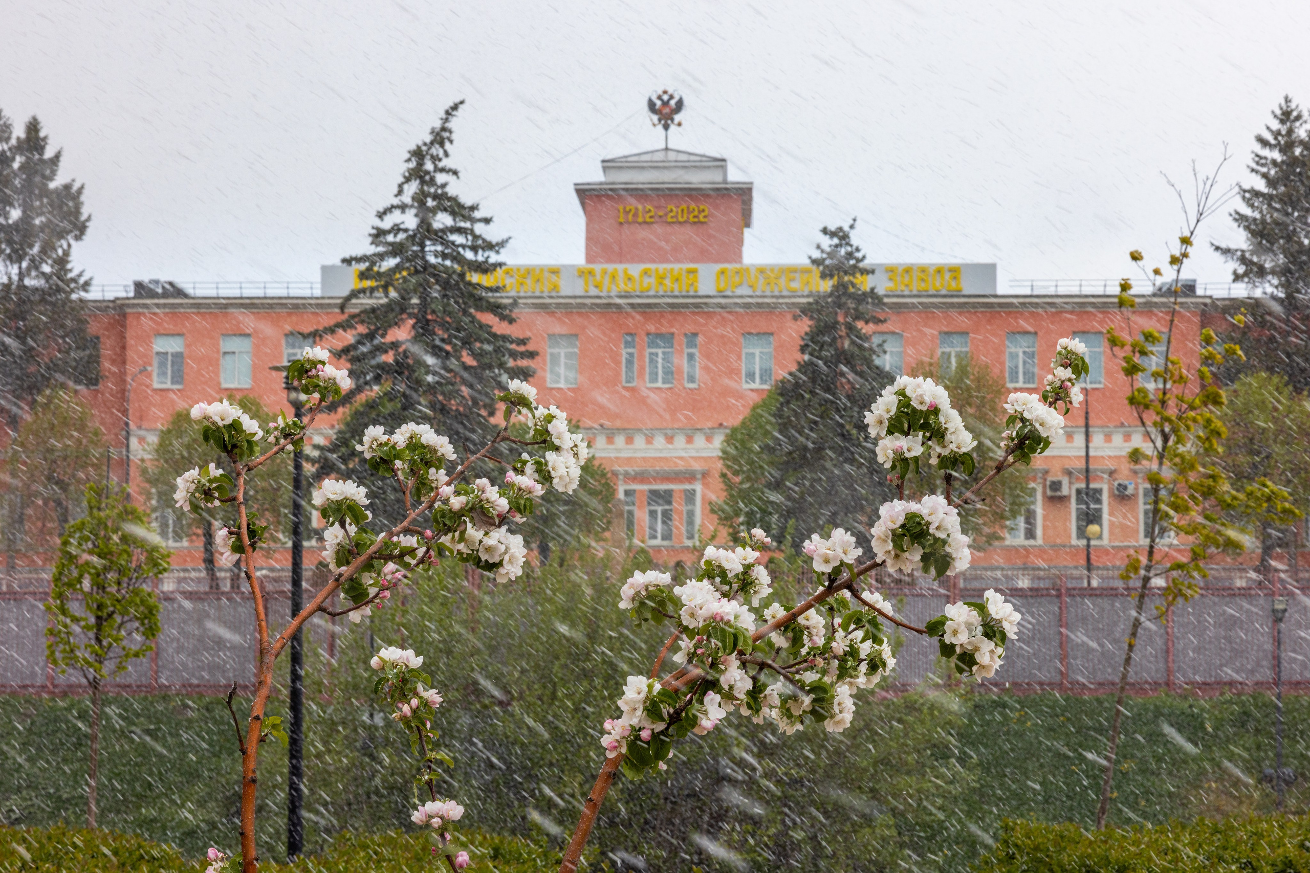 Весеннее цветение в Туле