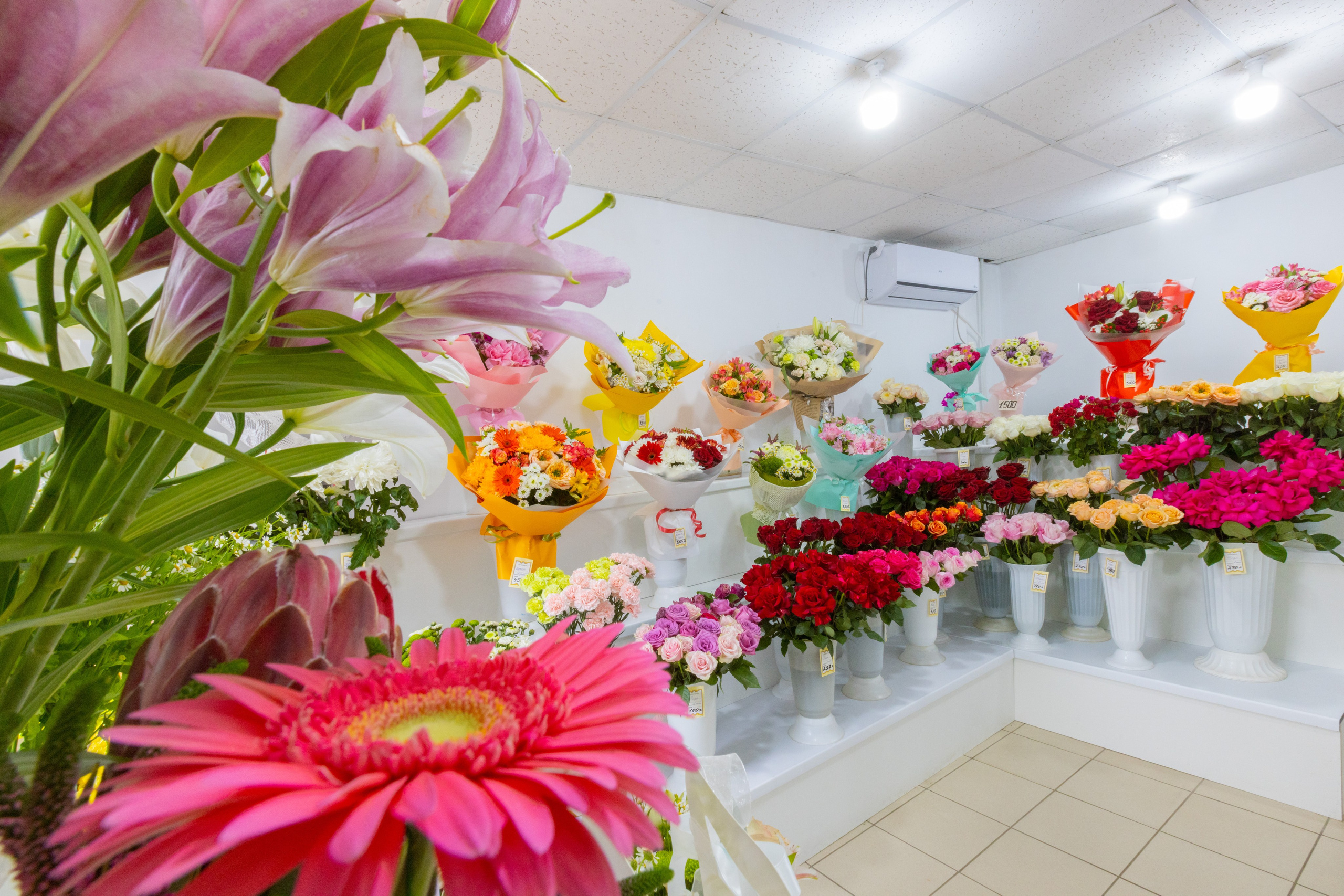 Цветы на Фрунзе «FF»