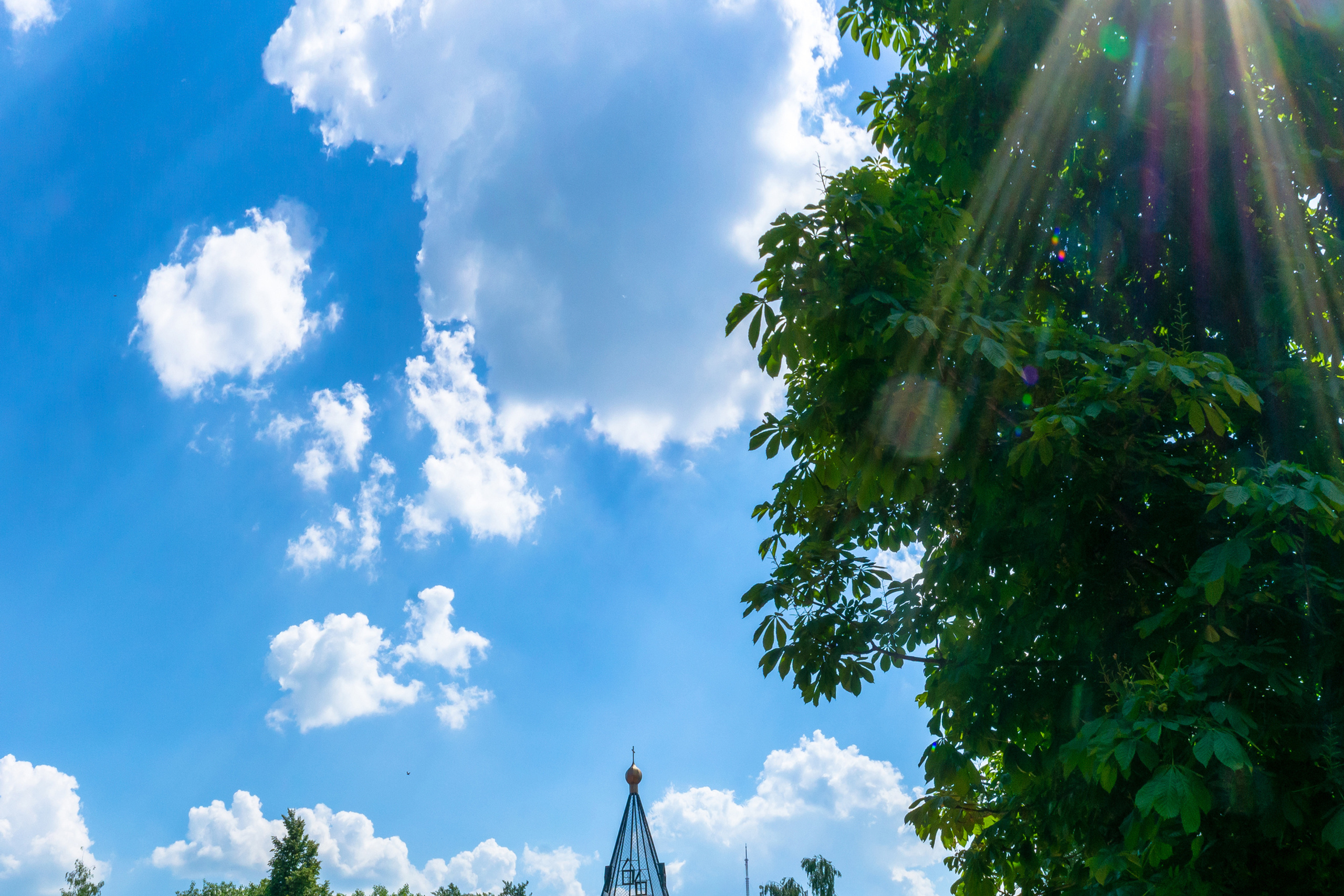 Могилёвский сквер, Педагогический университет им. Л. Н. Толстого.