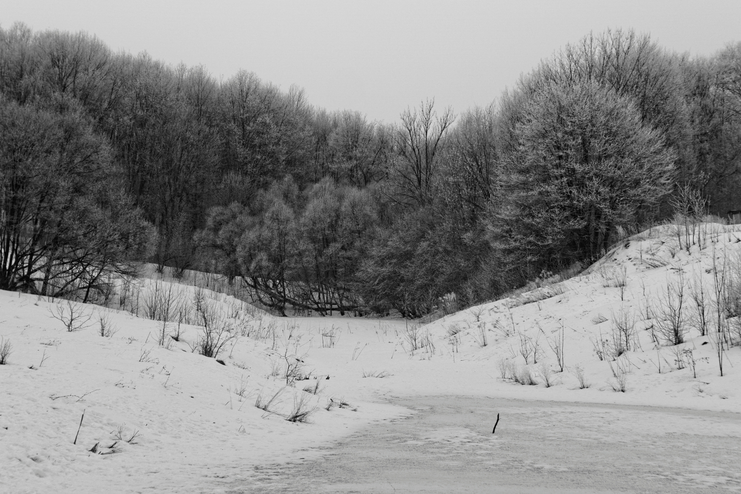 Зима в поселке Басово-Прудный и деревне Старое-Басово г. Тула