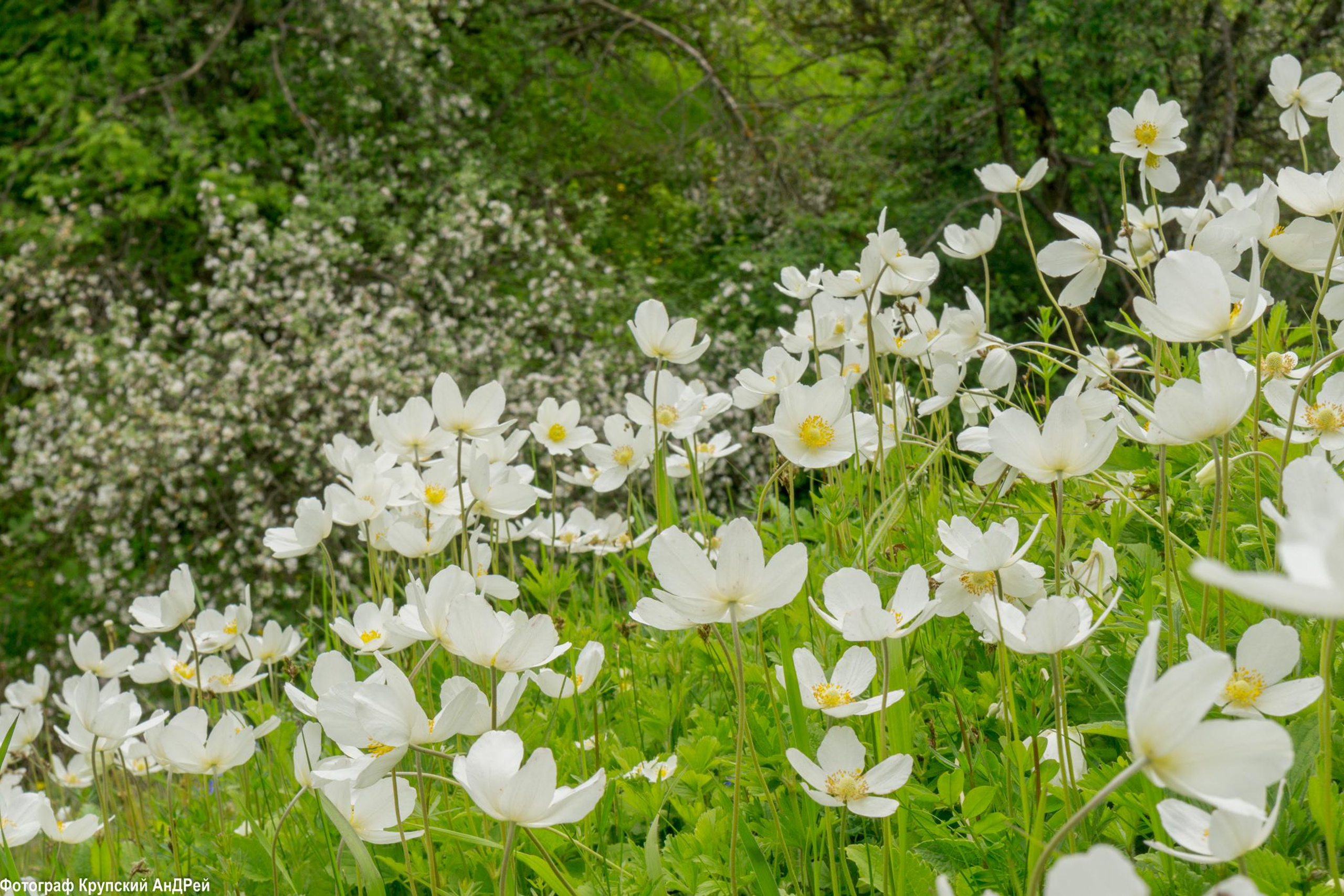 Просторы Алексина.