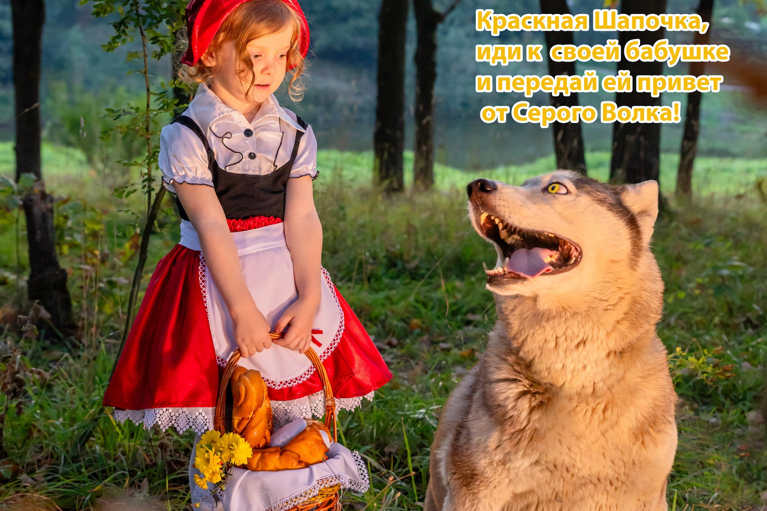 Красная шапочка