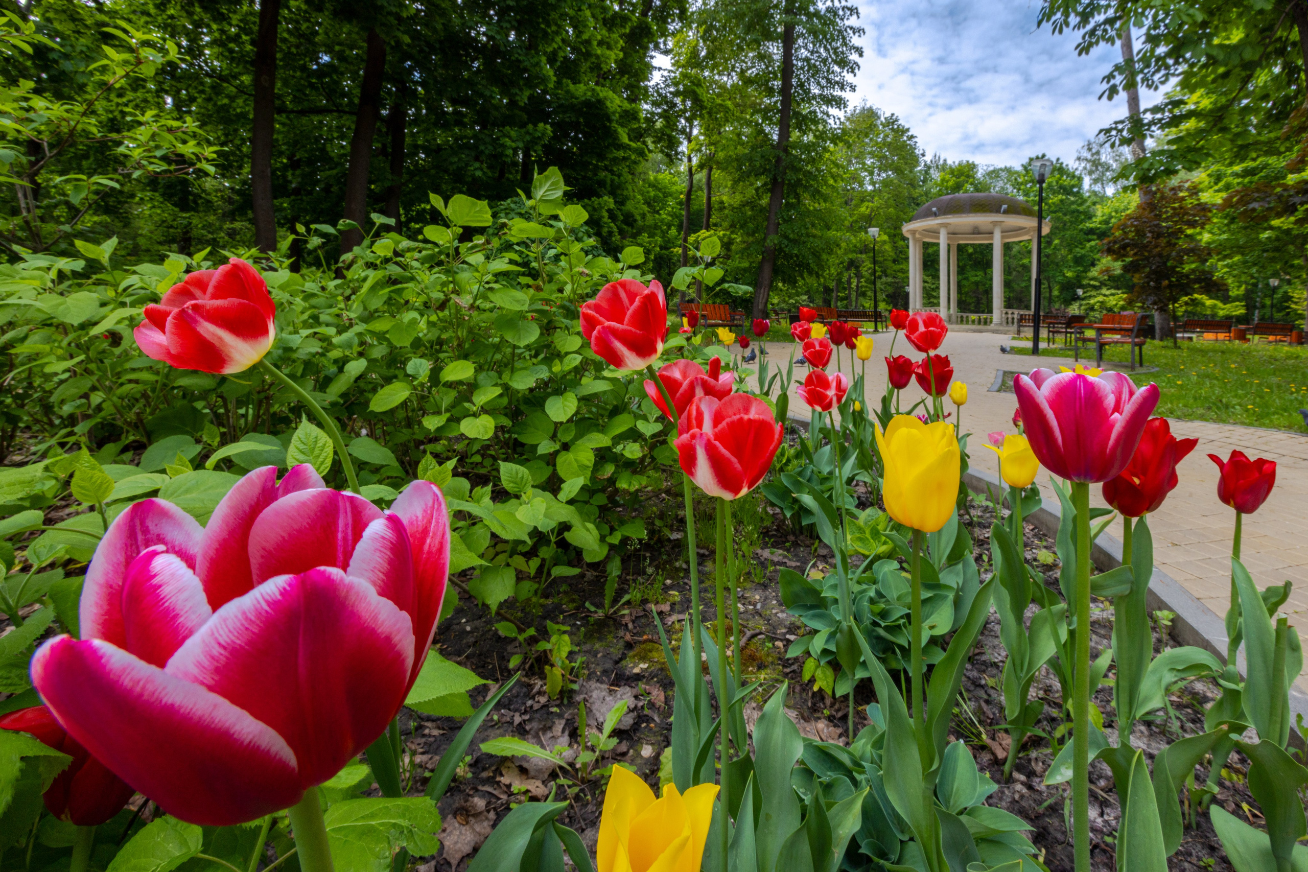 Парк им. П. П. Белоусова г. Тула 2024 г.