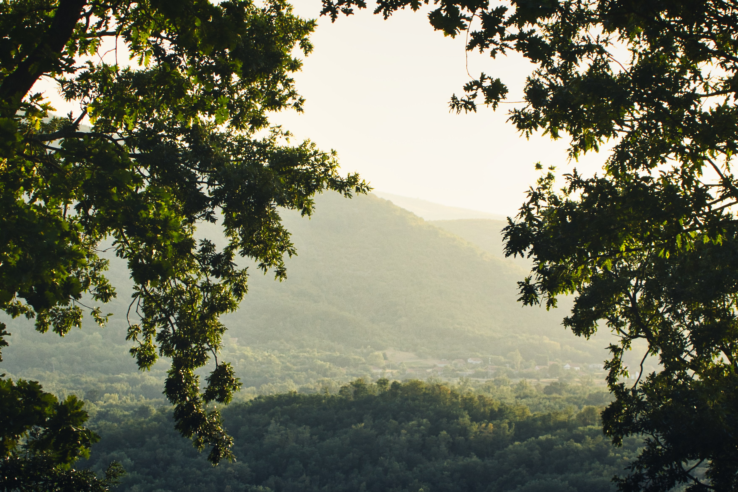 Переславль: Между сезонами | Фотопроект Рамиля Газизова. Фотограф Рамиль Газизов | Портрет, концерты, репортаж | Готовые фотографии за 24-48 часов