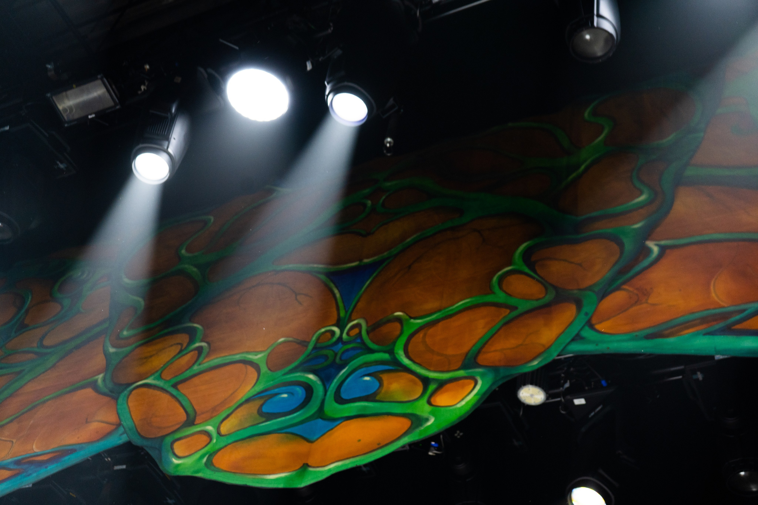 «Изумрудный город» музыкально-цирковое шоу. Московский молодежный центр «Планета КВН». История занавеса. Превращаем идею в технологию