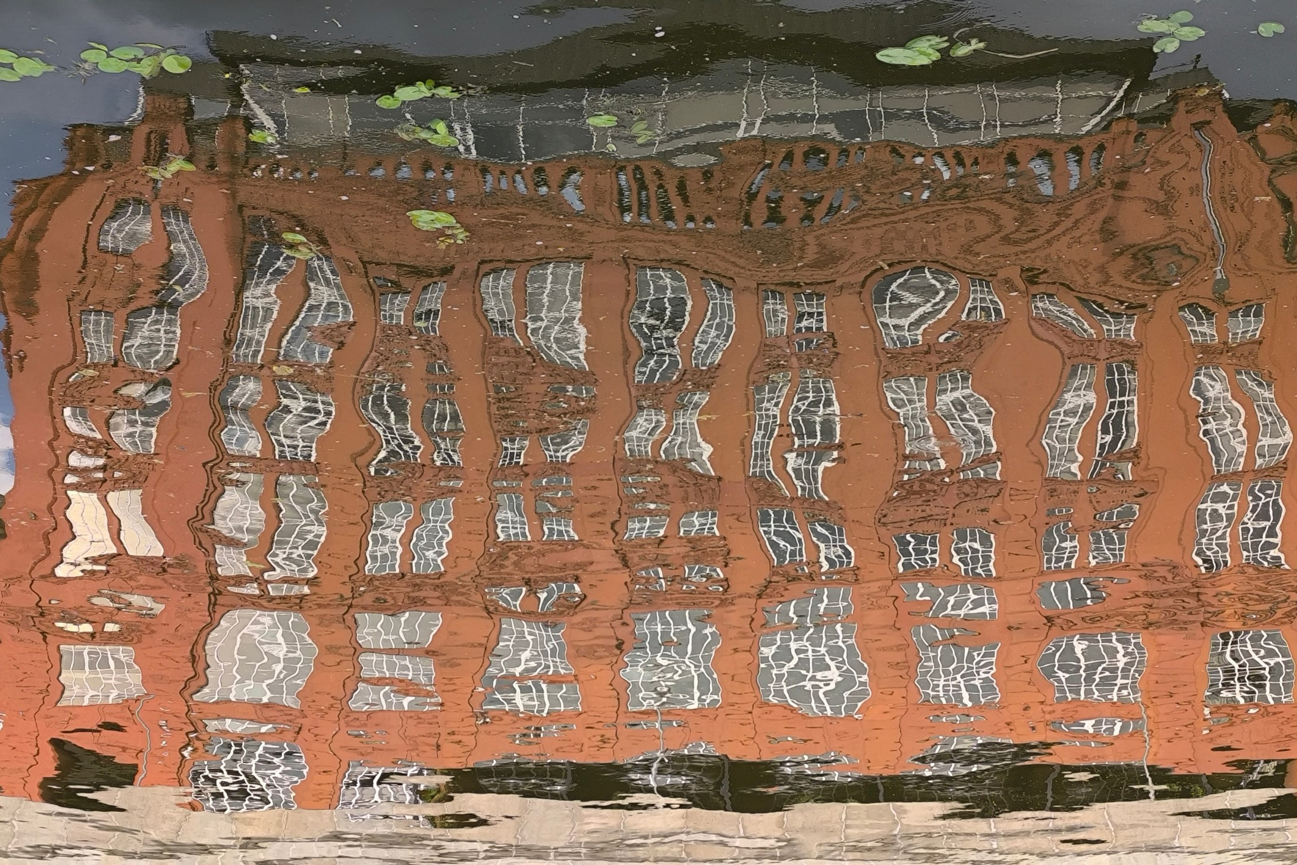 Мобильное фото