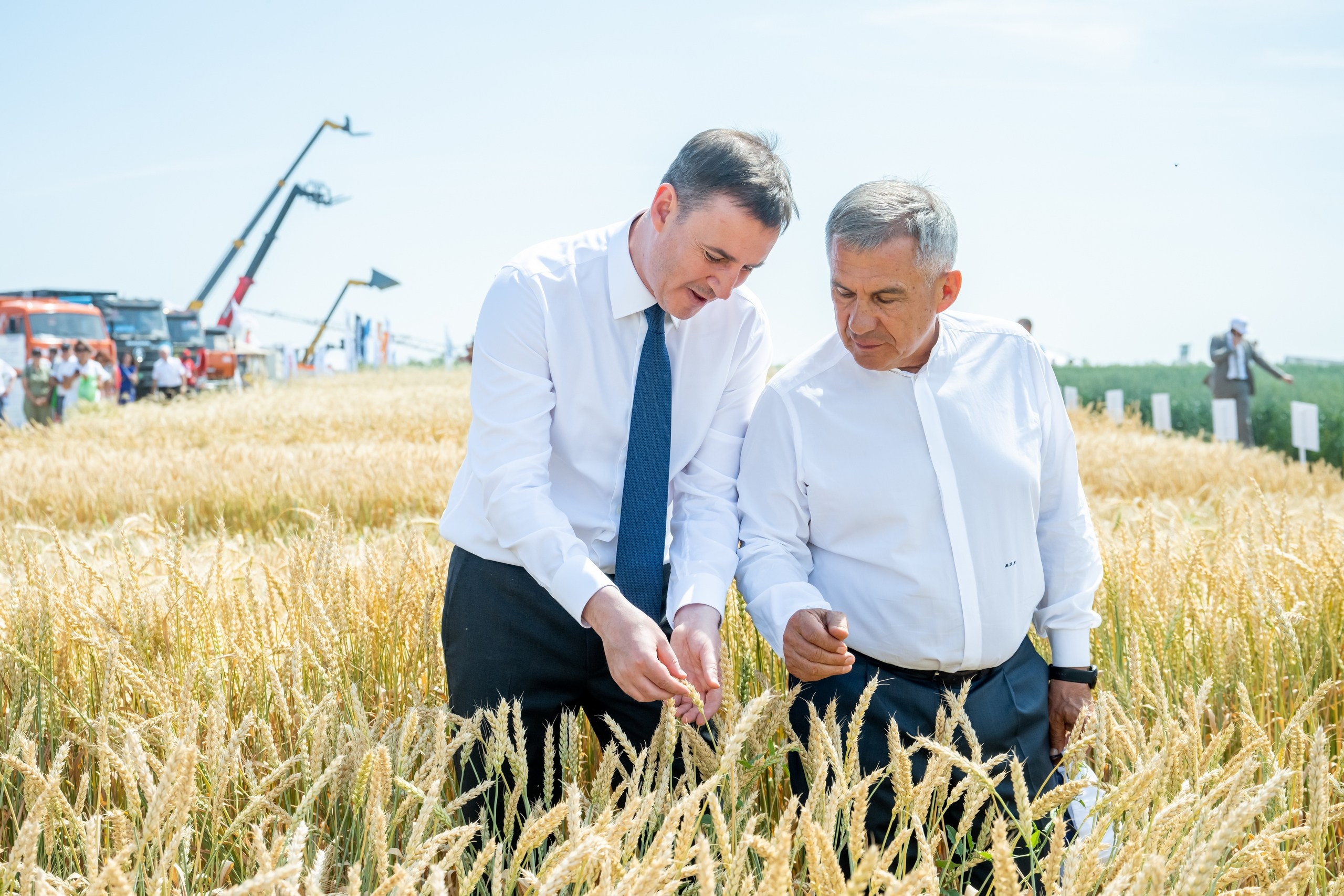 Всероссийский День Поля — 2023. Казань