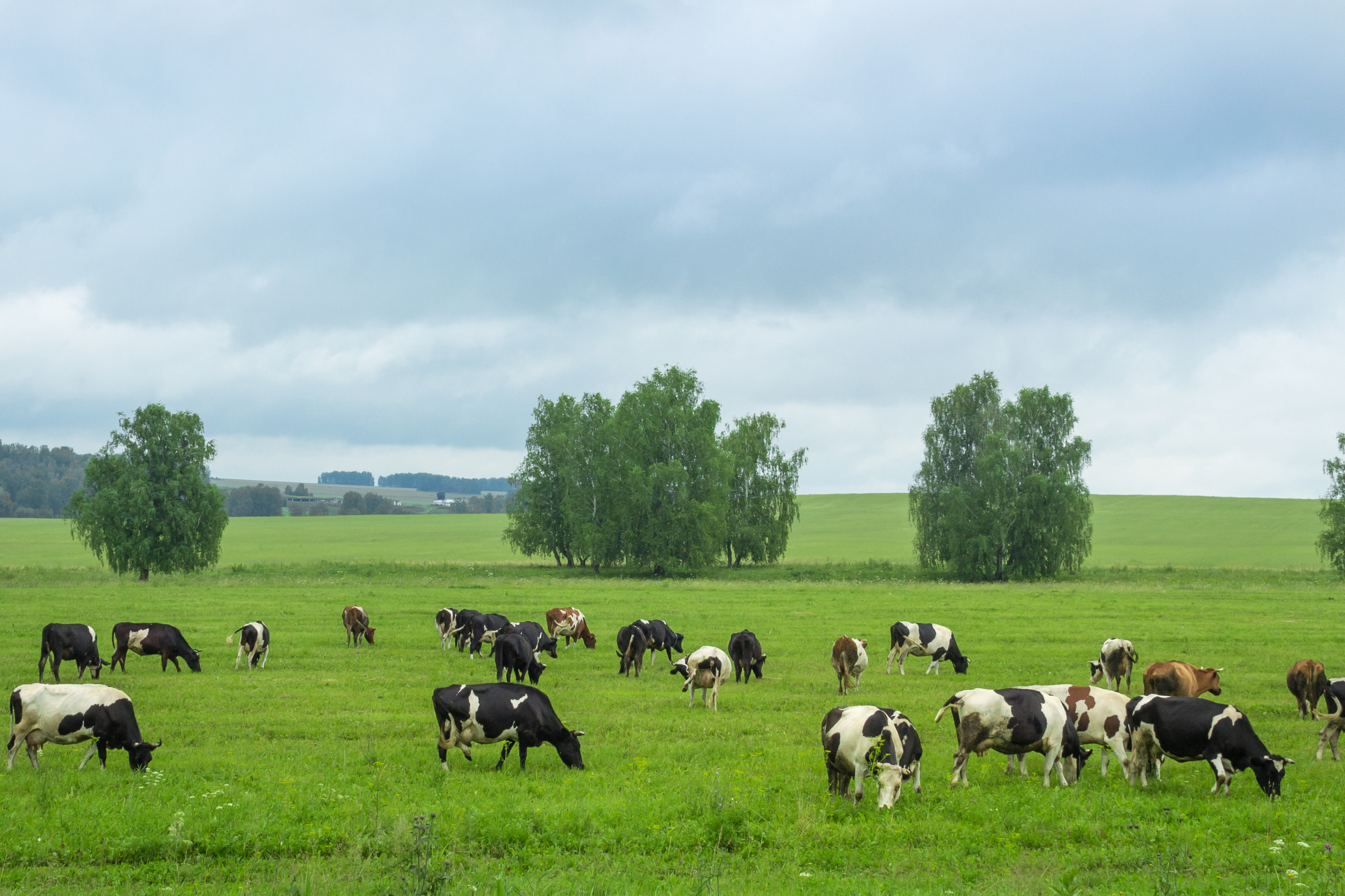 Пейзаж. Предметный фотограф/видеограф Алексей Филатов, г. Тюмень