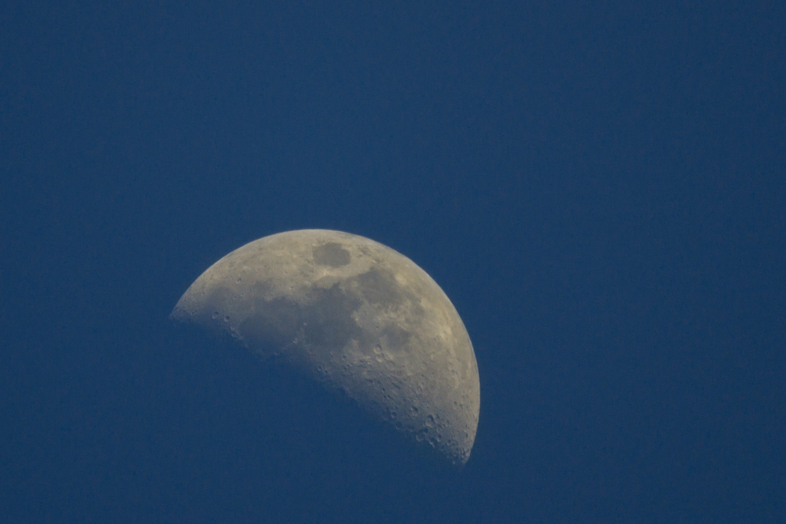 Природа. Предметный фотограф/видеограф Алексей Филатов, г. Тюмень