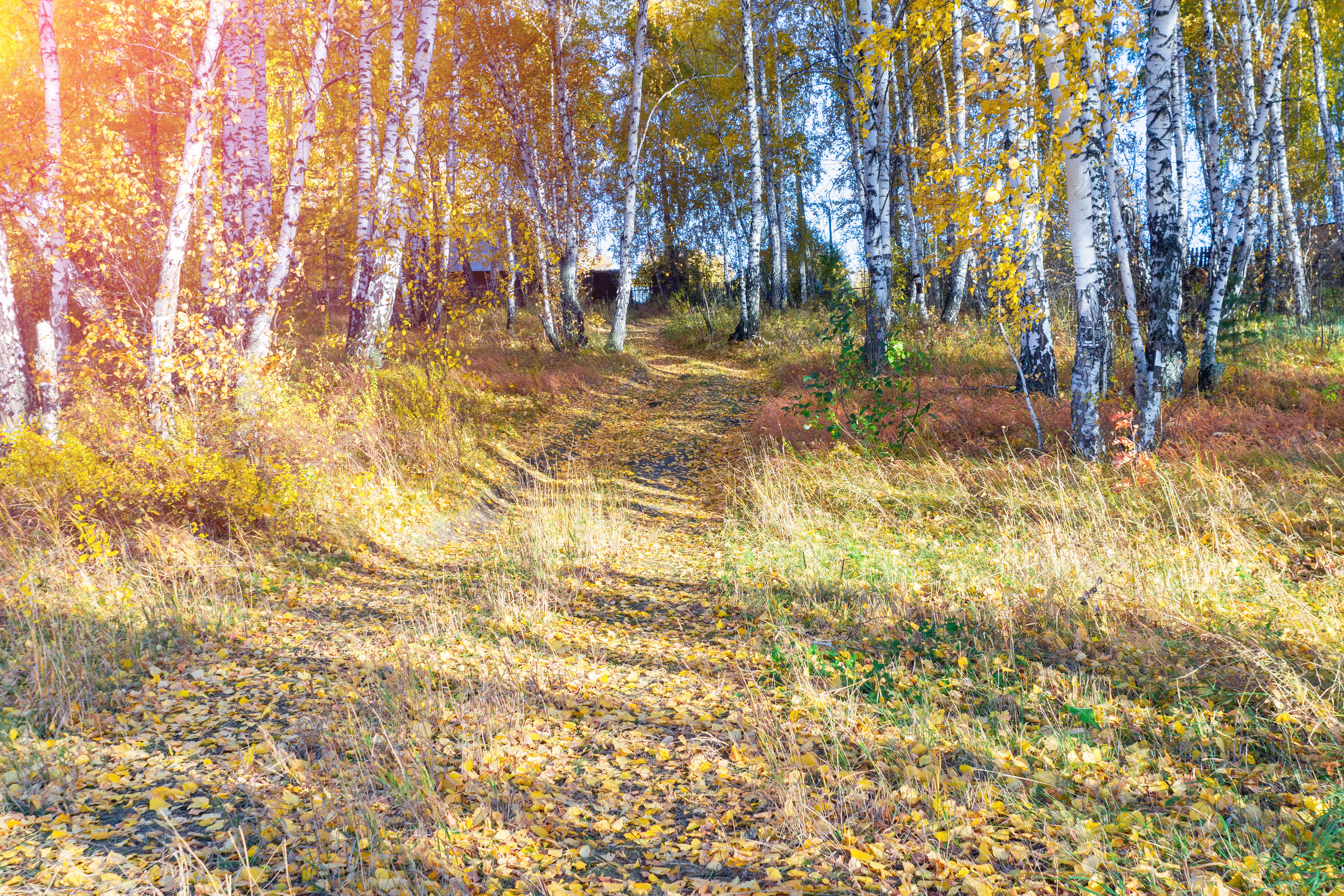 Пейзаж. Предметный фотограф/видеограф Алексей Филатов, г. Тюмень
