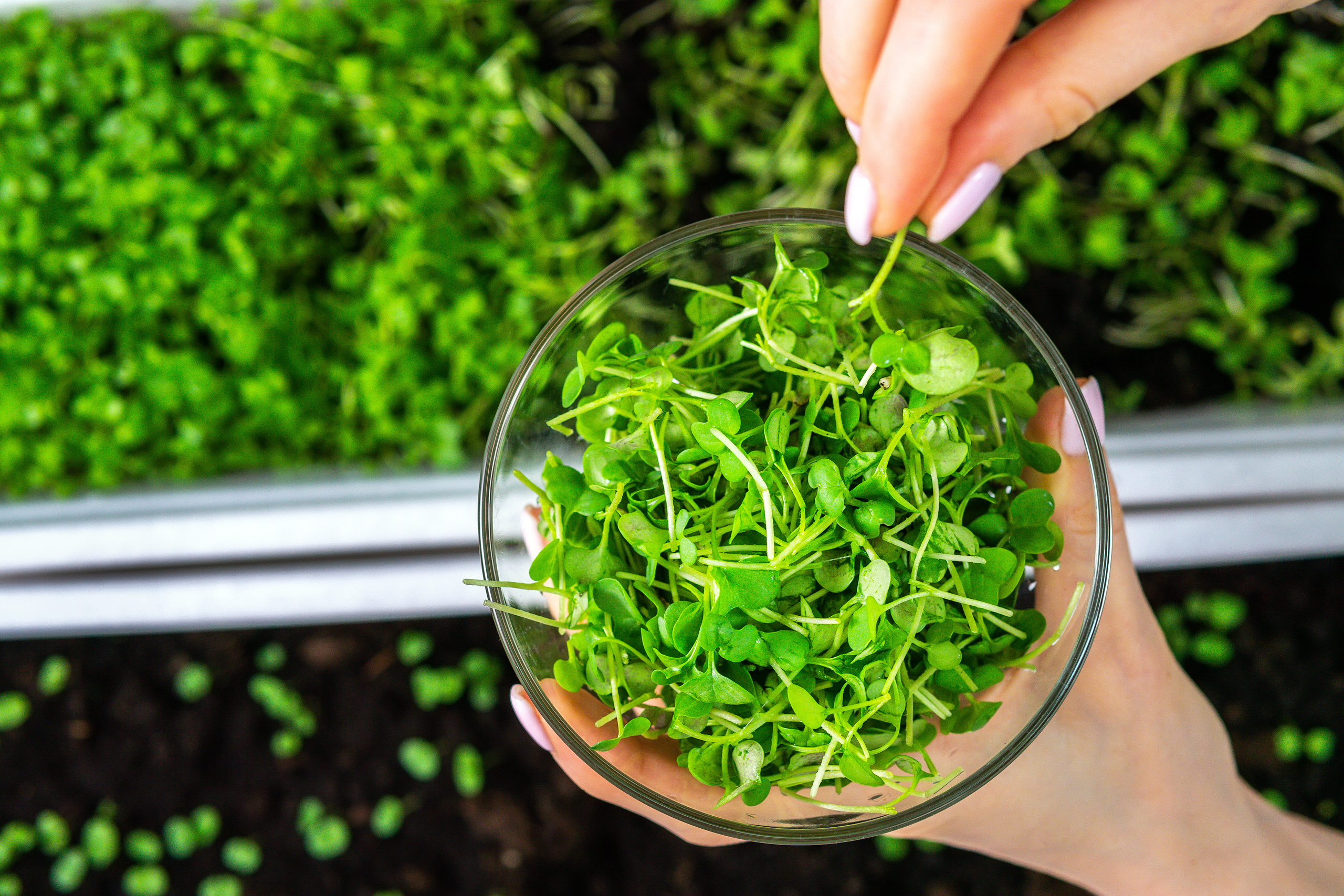 Food-фото. Предметный фотограф/видеограф Алексей Филатов, г. Тюмень
