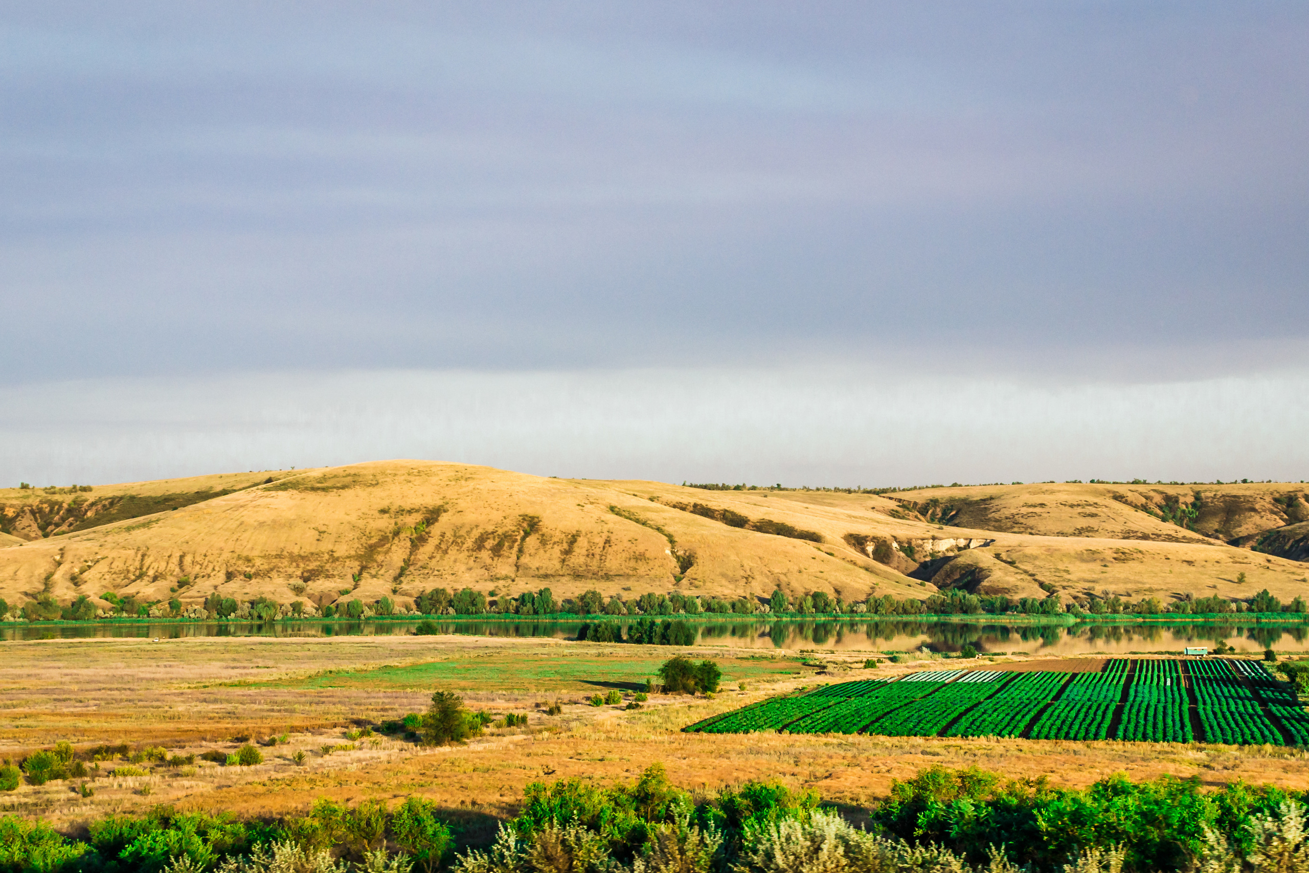 Пейзаж. Предметный фотограф/видеограф Алексей Филатов, г. Тюмень