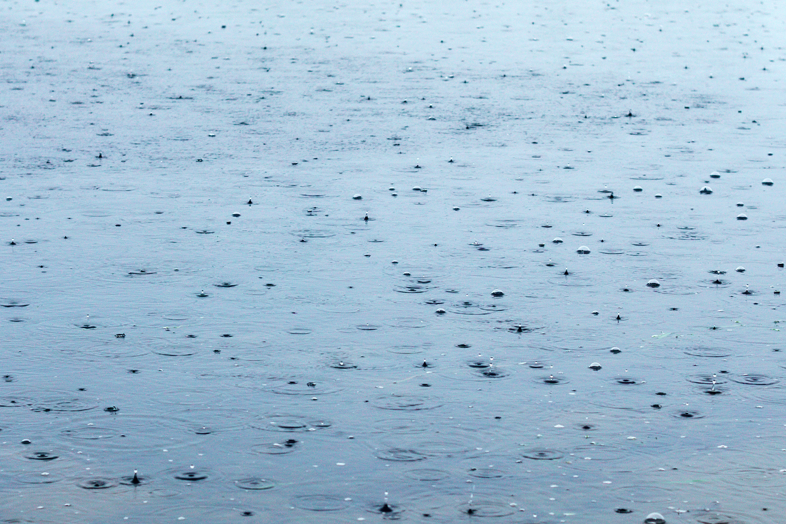 Природа. Предметный фотограф/видеограф Алексей Филатов, г. Тюмень