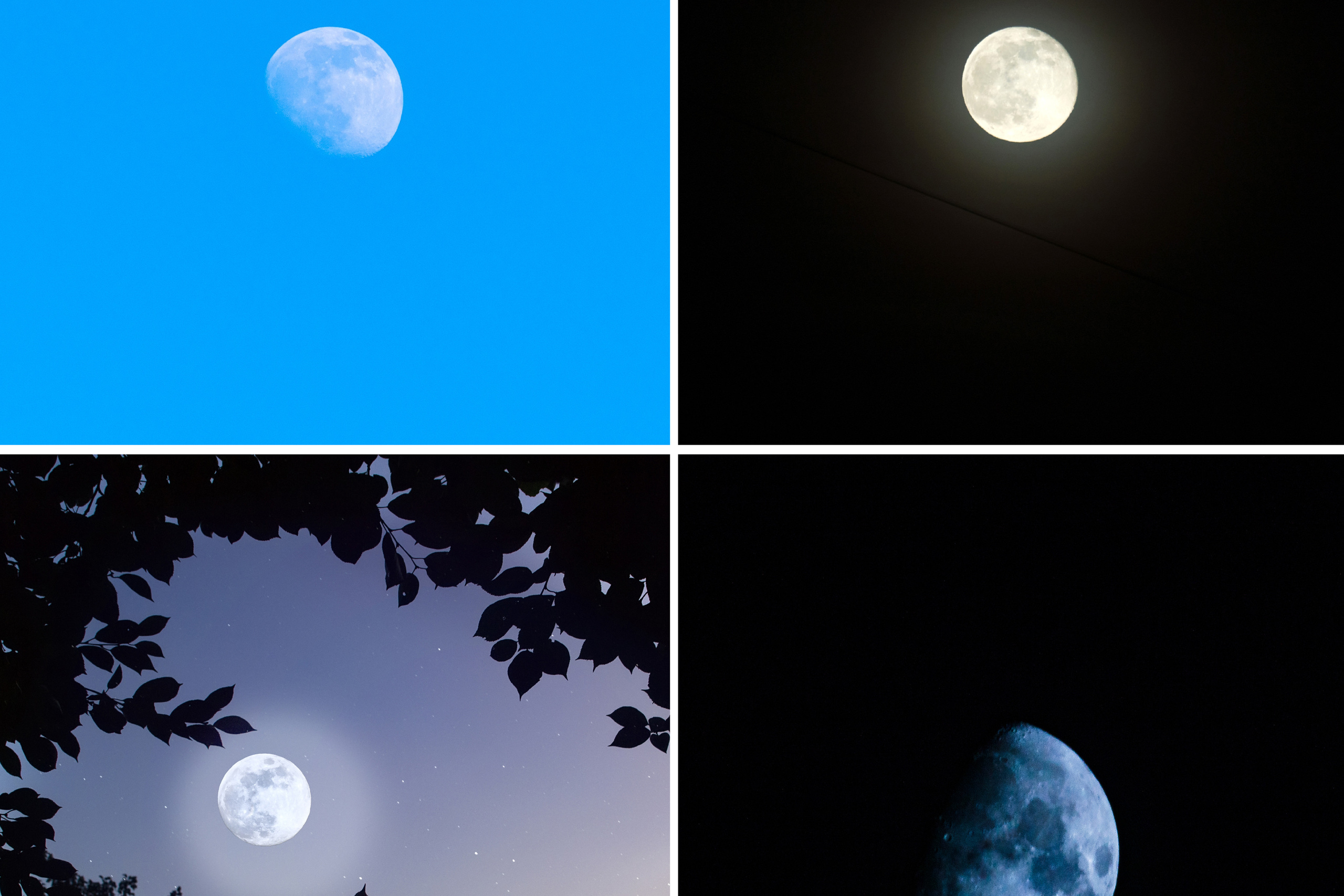 Коллаж. Предметный фотограф/видеограф Алексей Филатов, г. Тюмень