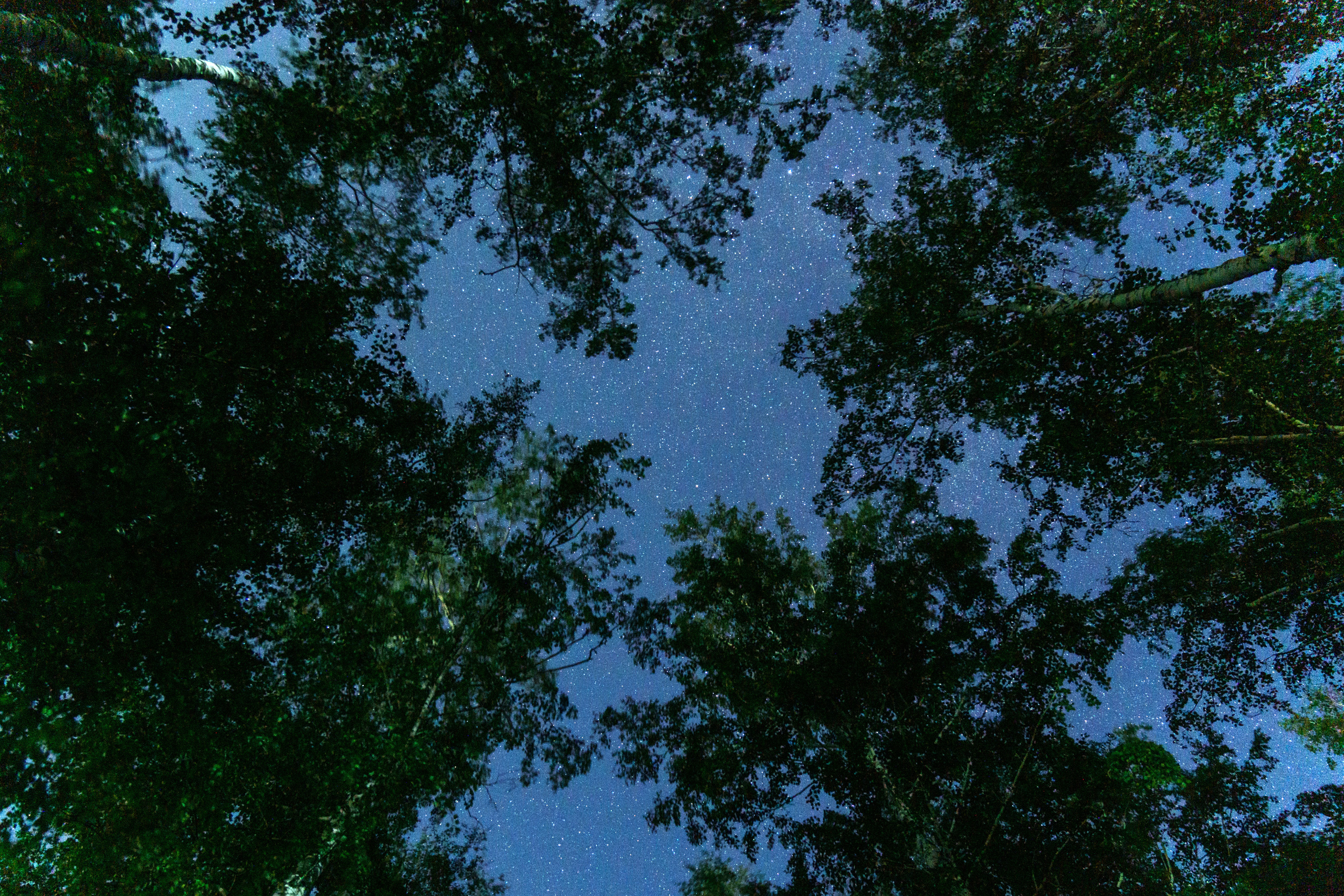 Пейзаж. Предметный фотограф/видеограф Алексей Филатов, г. Тюмень