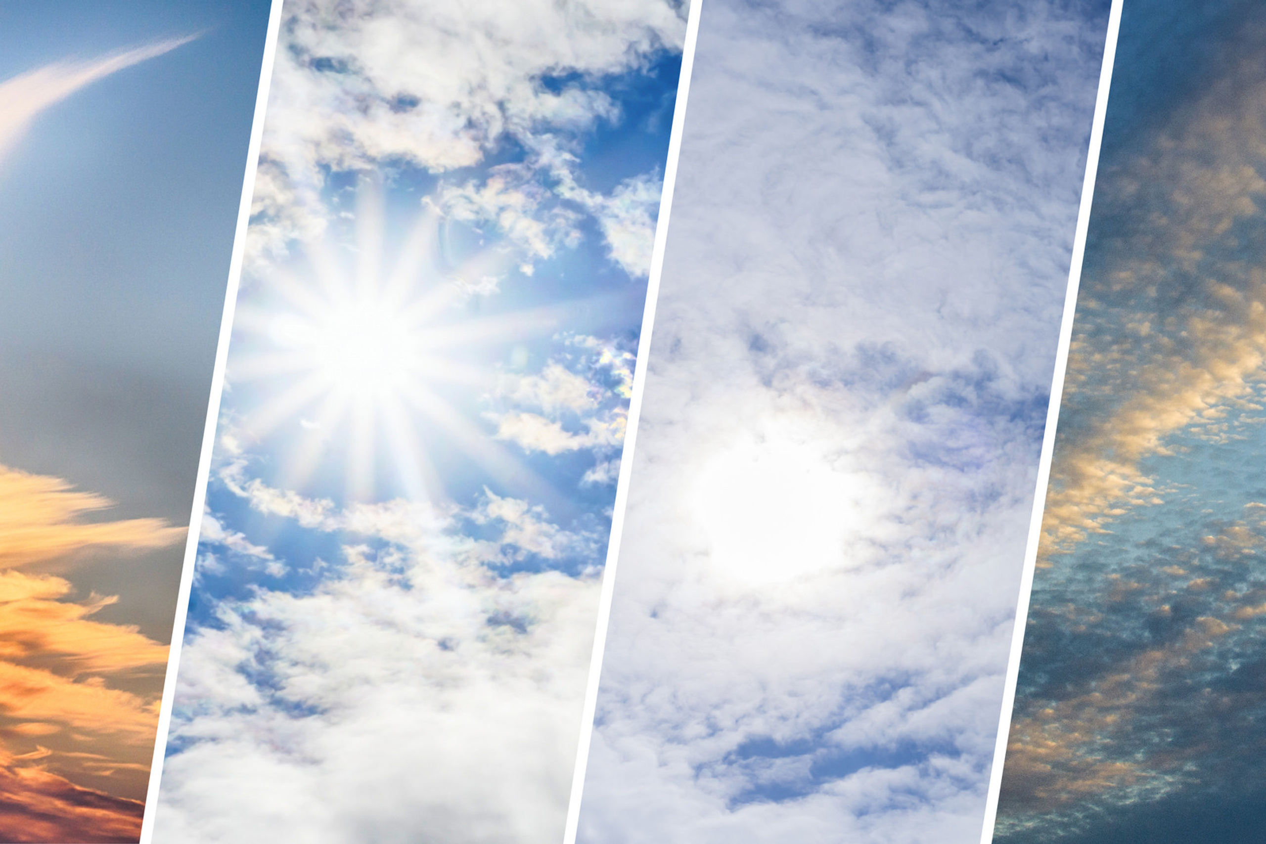 Коллаж. Предметный фотограф/видеограф Алексей Филатов, г. Тюмень