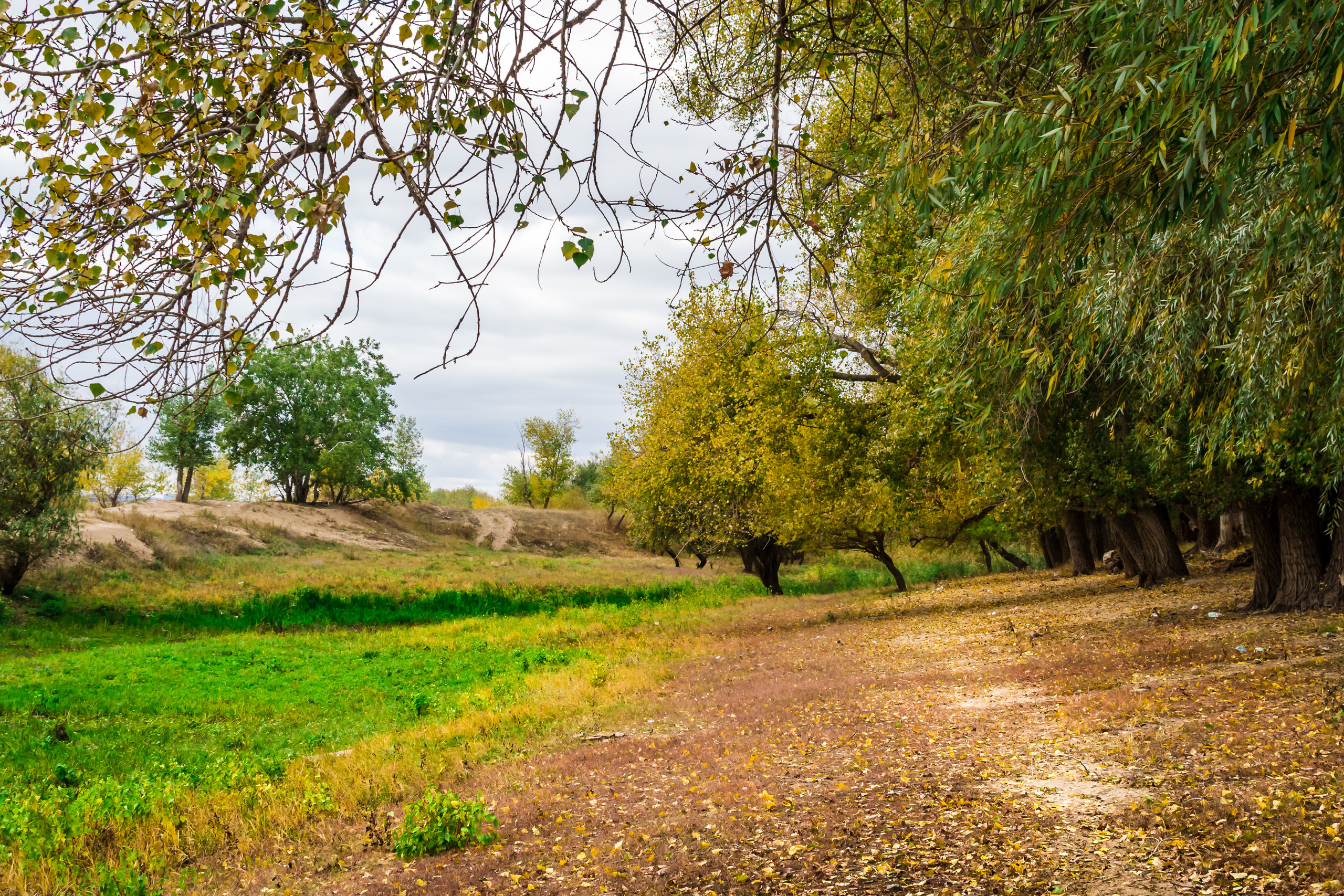 Пейзаж. Предметный фотограф/видеограф Алексей Филатов, г. Тюмень