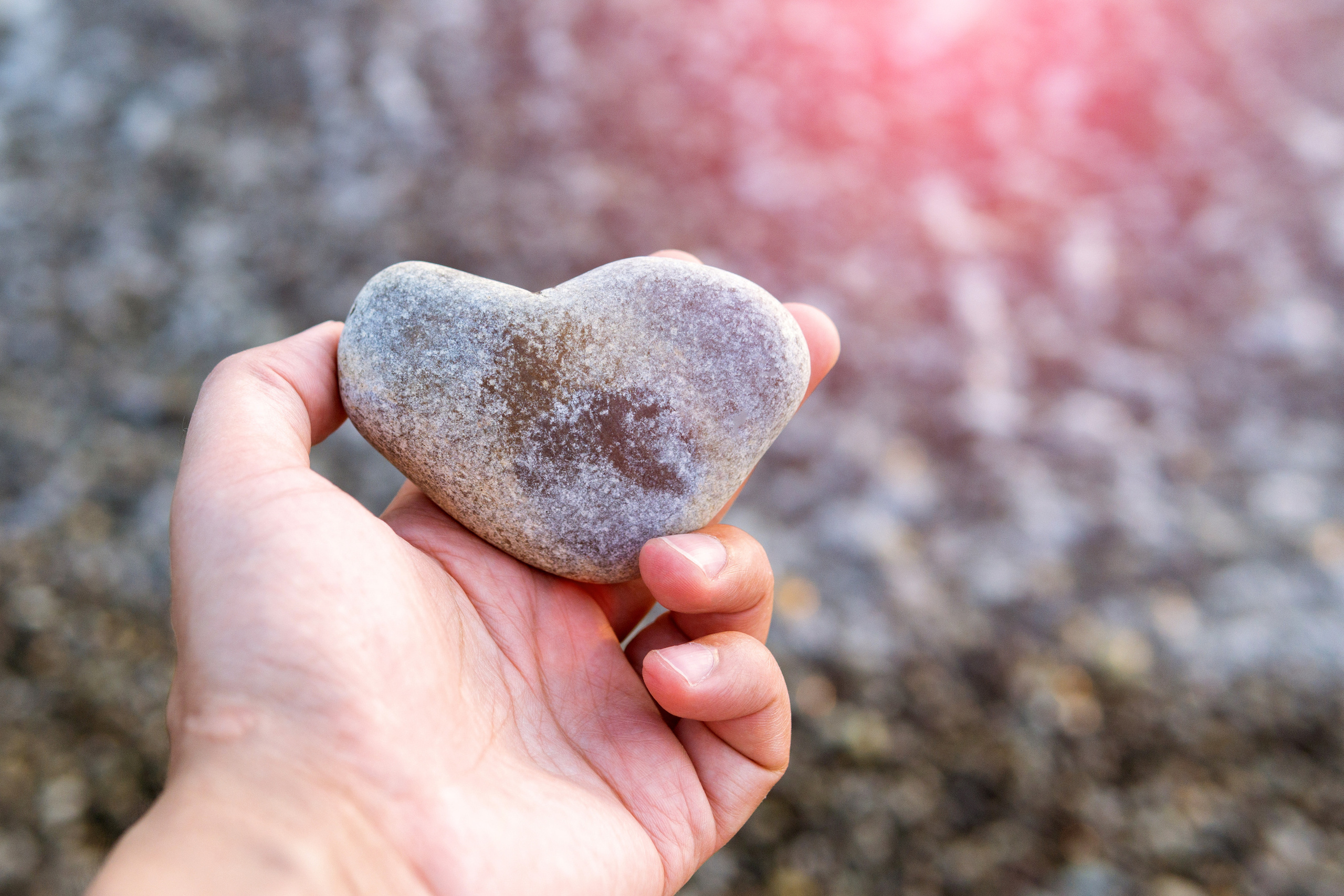 Природа. Предметный фотограф/видеограф Алексей Филатов, г. Тюмень