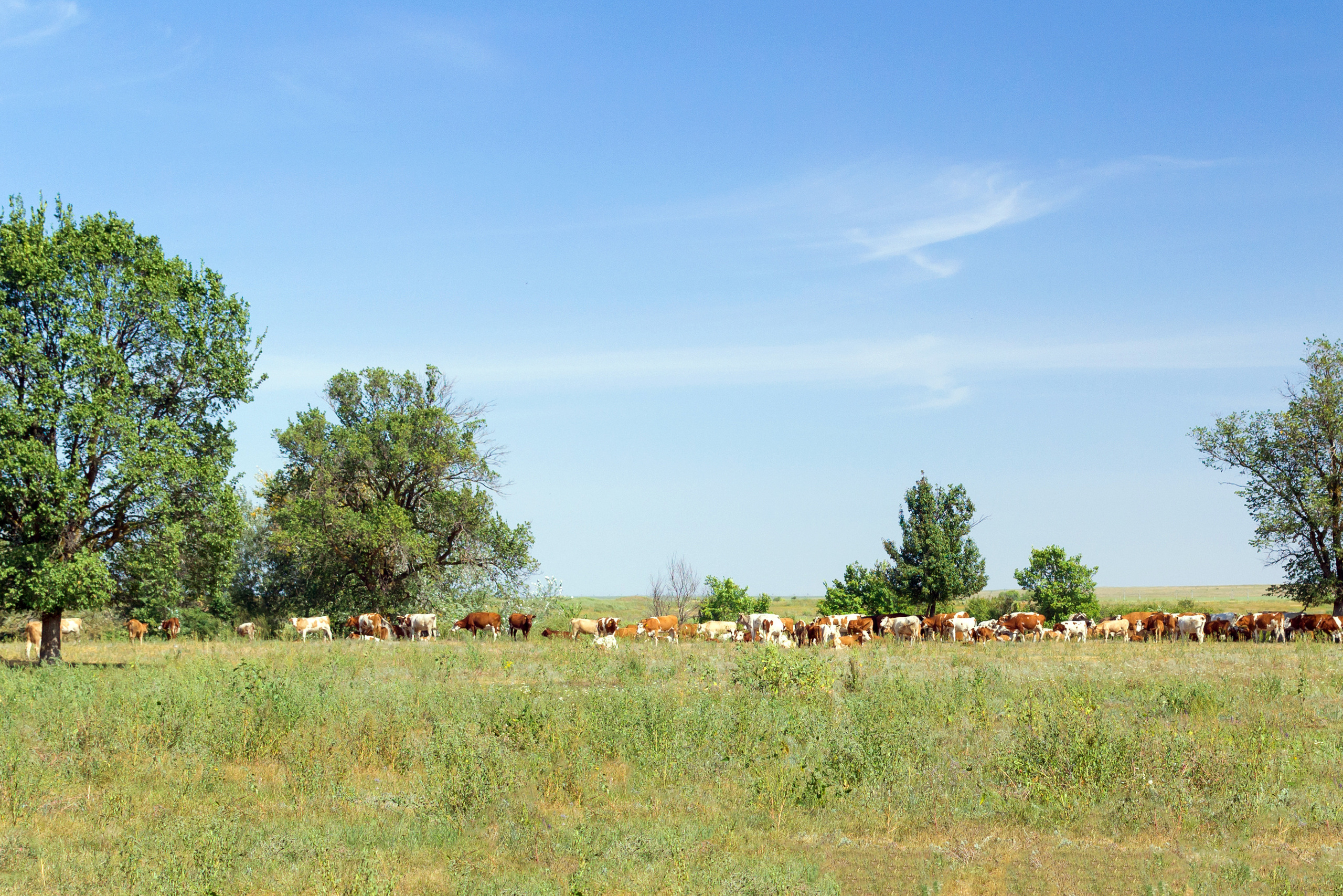 Пейзаж. Предметный фотограф/видеограф Алексей Филатов, г. Тюмень