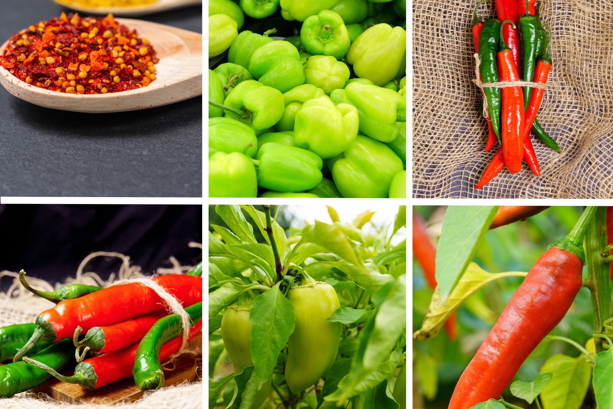 Коллаж. Предметный фотограф/видеограф Алексей Филатов, г. Тюмень