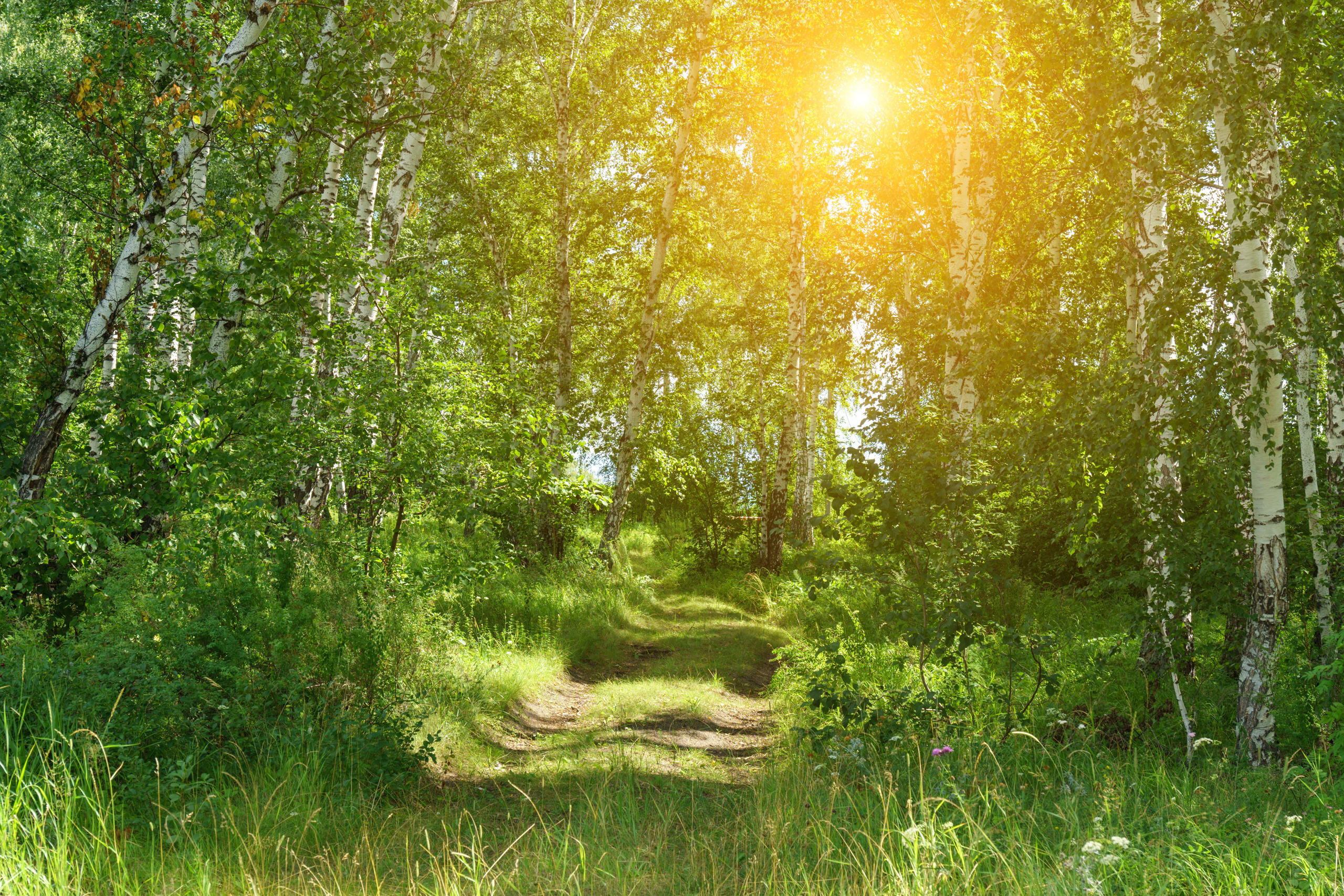 Пейзаж. Предметный фотограф/видеограф Алексей Филатов, г. Тюмень