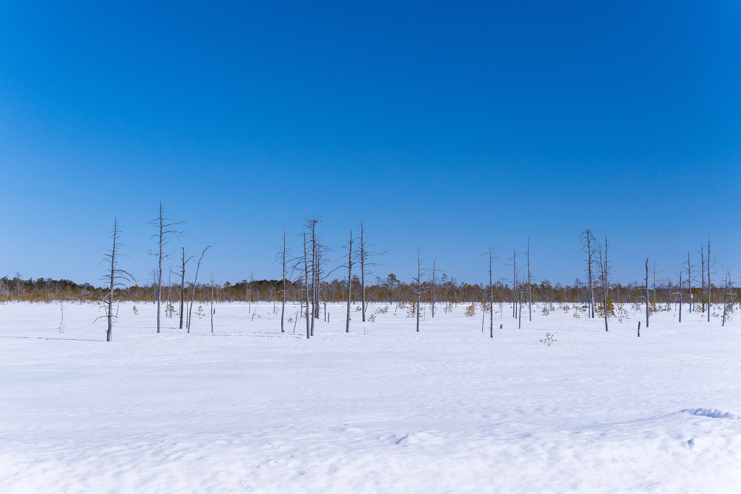 Пейзаж. Предметный фотограф/видеограф Алексей Филатов, г. Тюмень