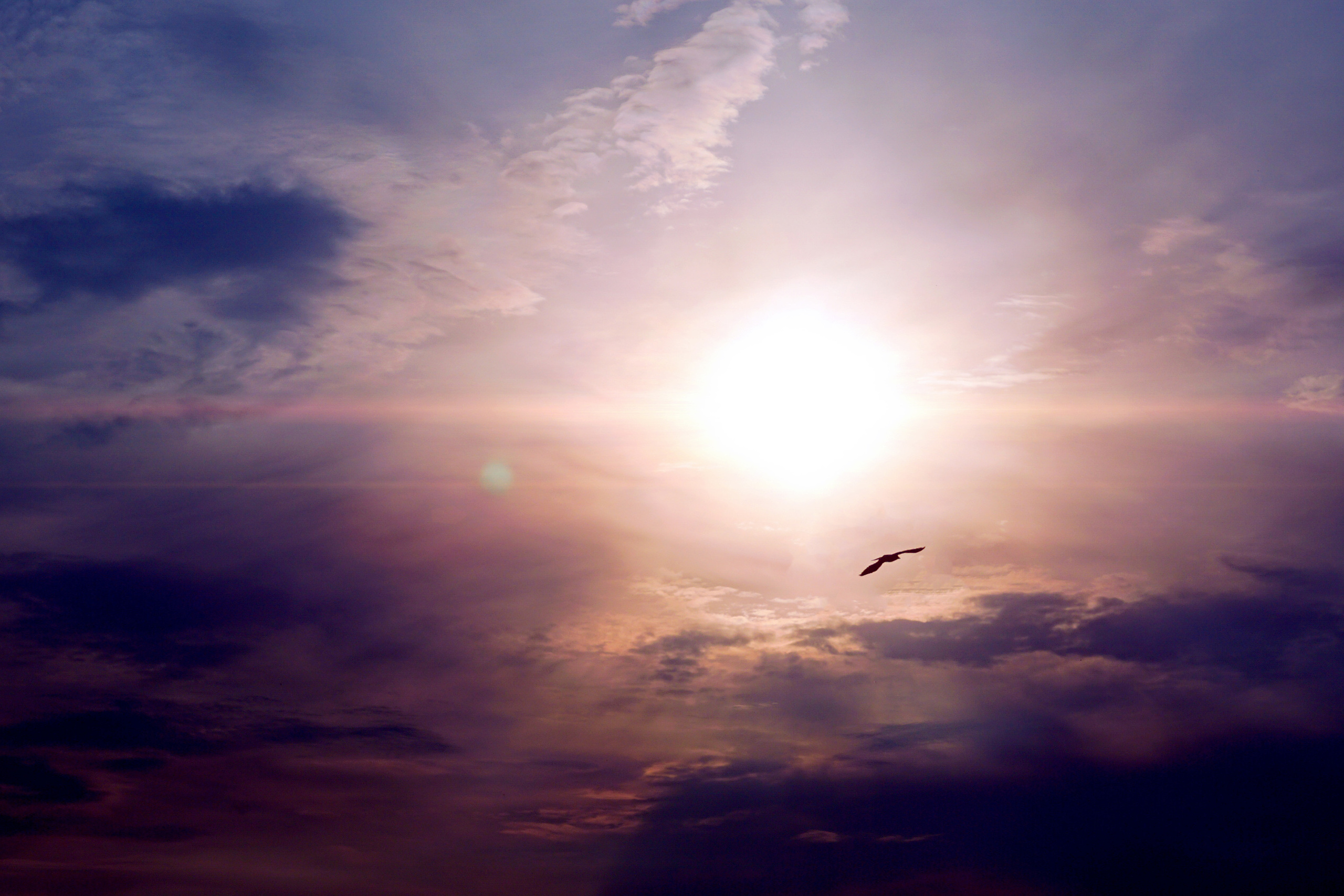 Природа. Предметный фотограф/видеограф Алексей Филатов, г. Тюмень