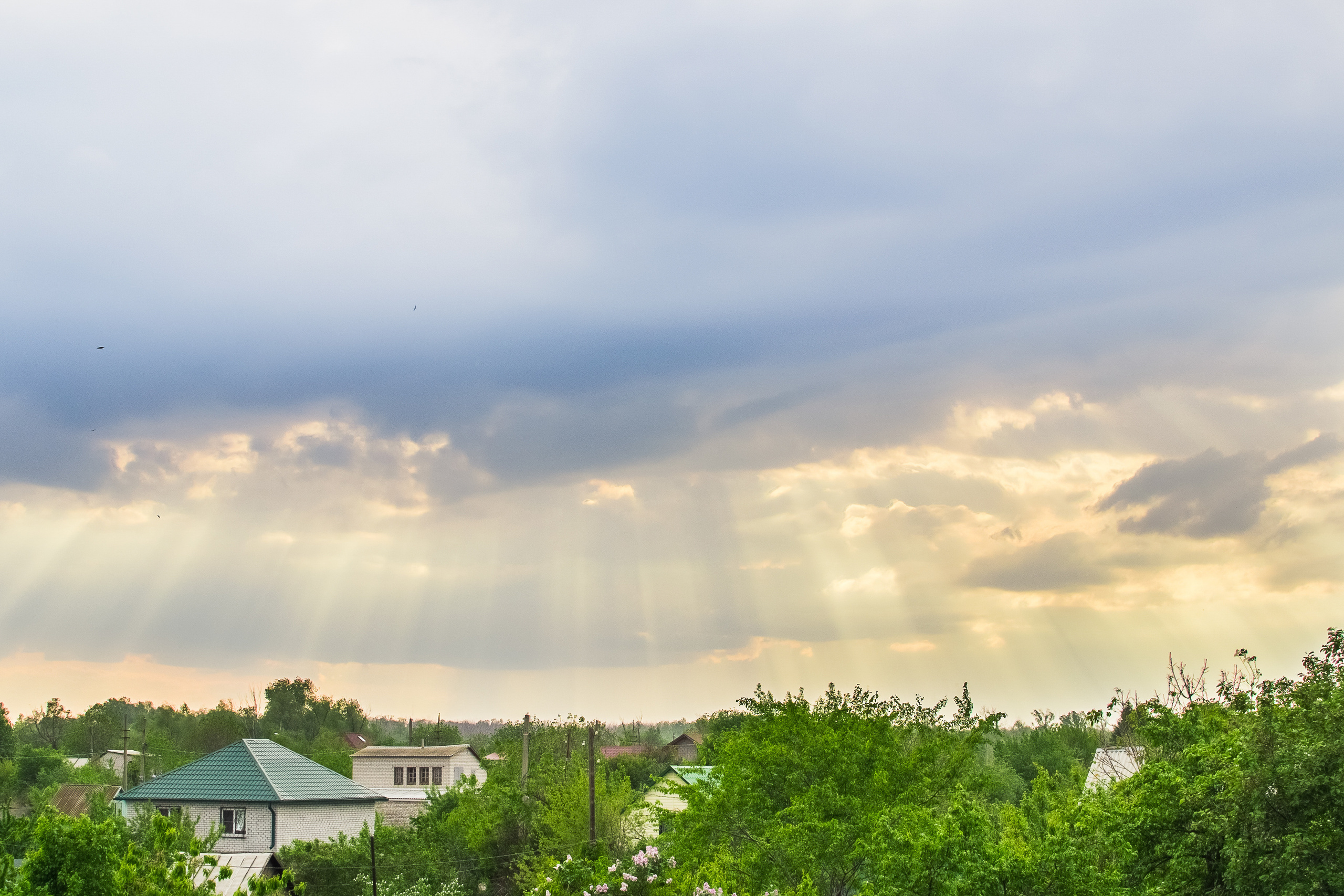 Пейзаж. Предметный фотограф/видеограф Алексей Филатов, г. Тюмень