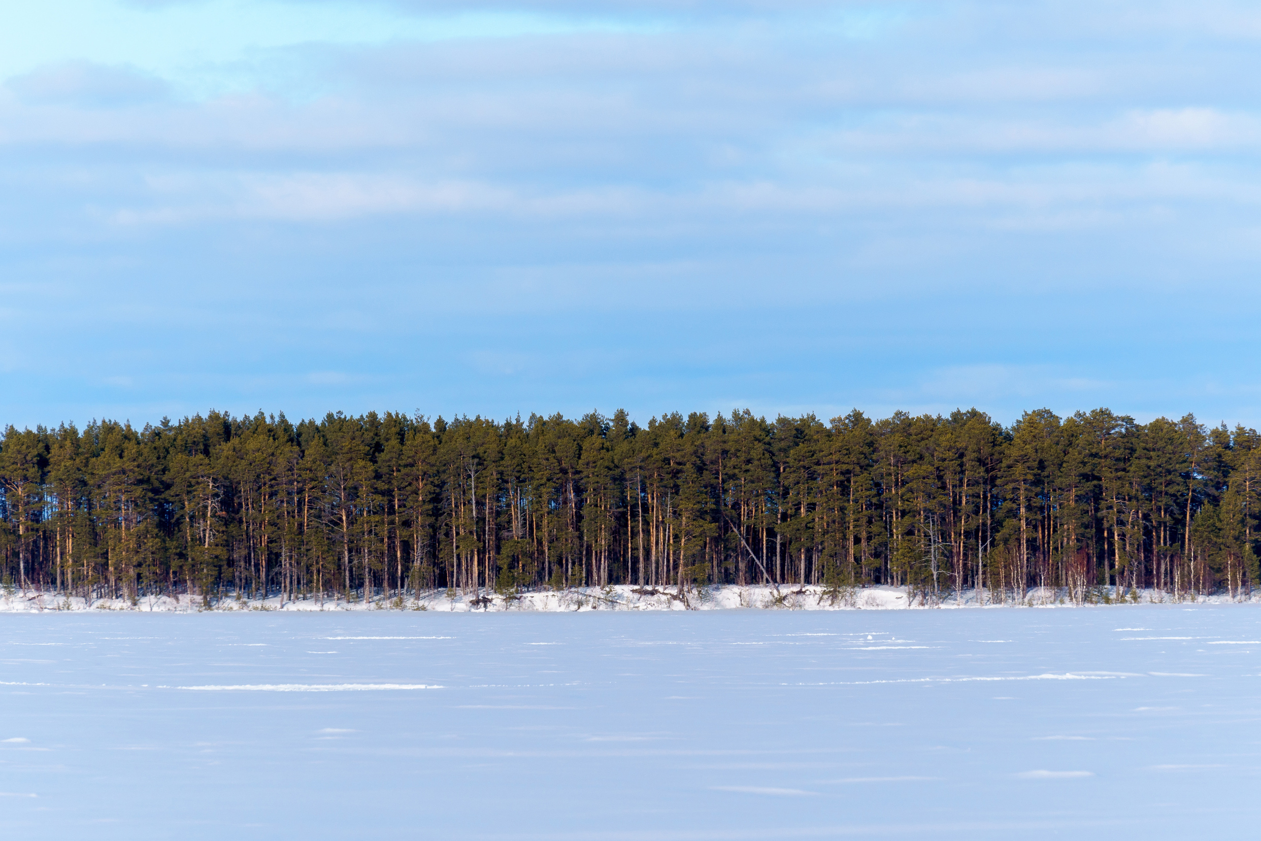 Пейзаж. Предметный фотограф/видеограф Алексей Филатов, г. Тюмень