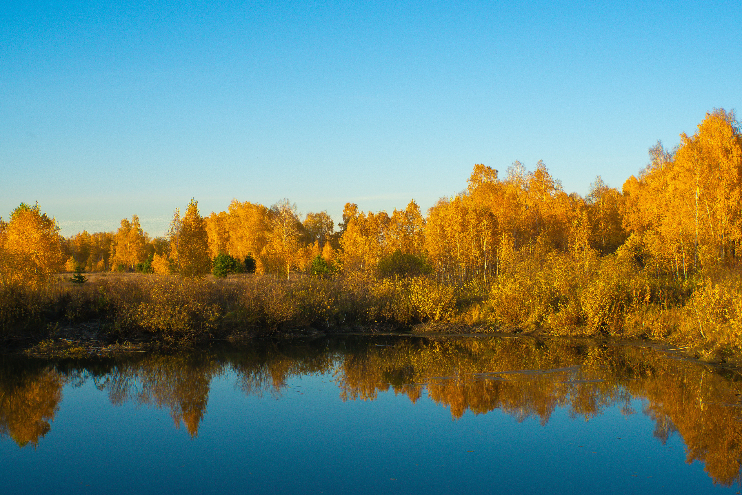 Пейзаж. Предметный фотограф/видеограф Алексей Филатов, г. Тюмень