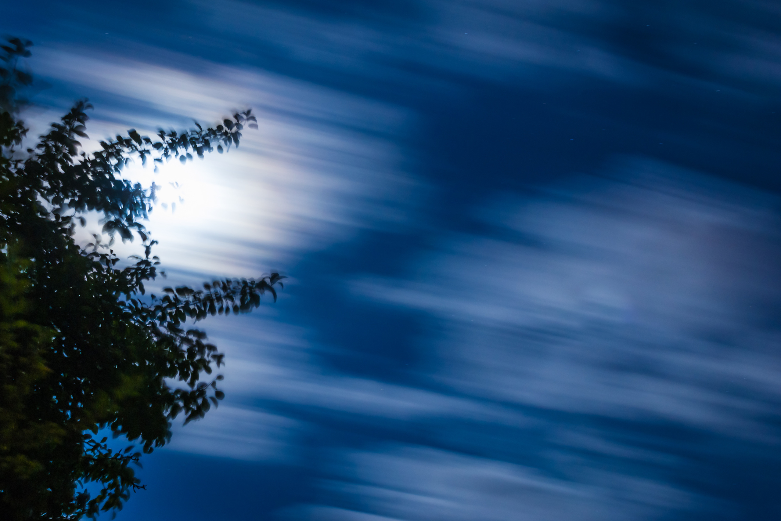 Природа. Предметный фотограф/видеограф Алексей Филатов, г. Тюмень