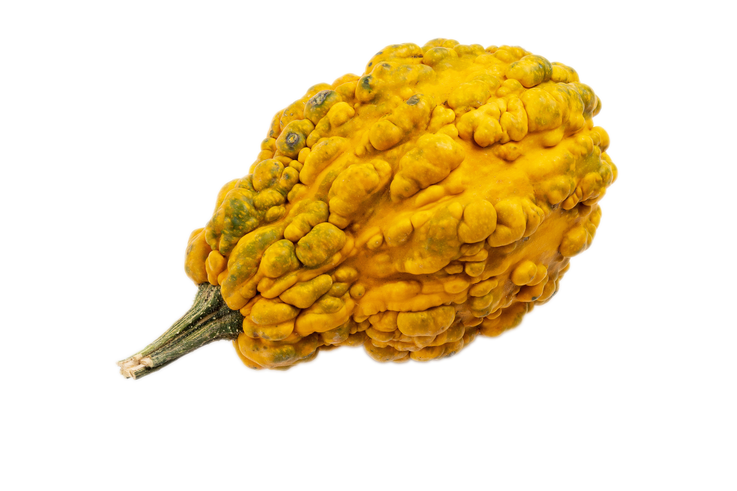 На белом фоне (изоляты). Предметный фотограф/видеограф Алексей Филатов, г. Тюмень