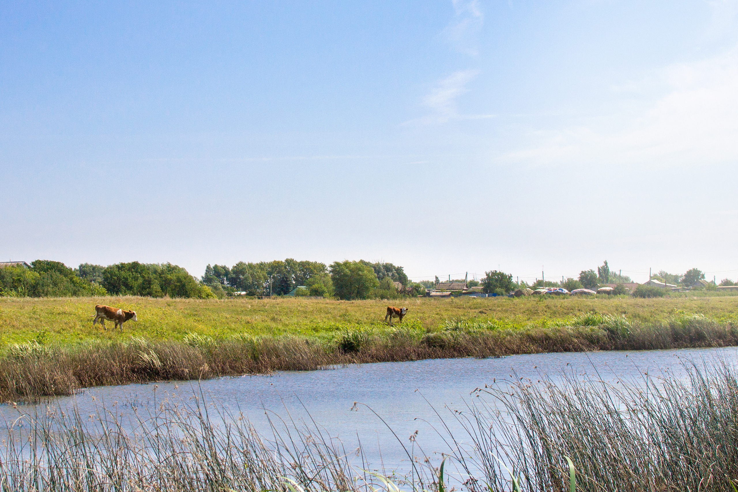 Пейзаж. Предметный фотограф/видеограф Алексей Филатов, г. Тюмень