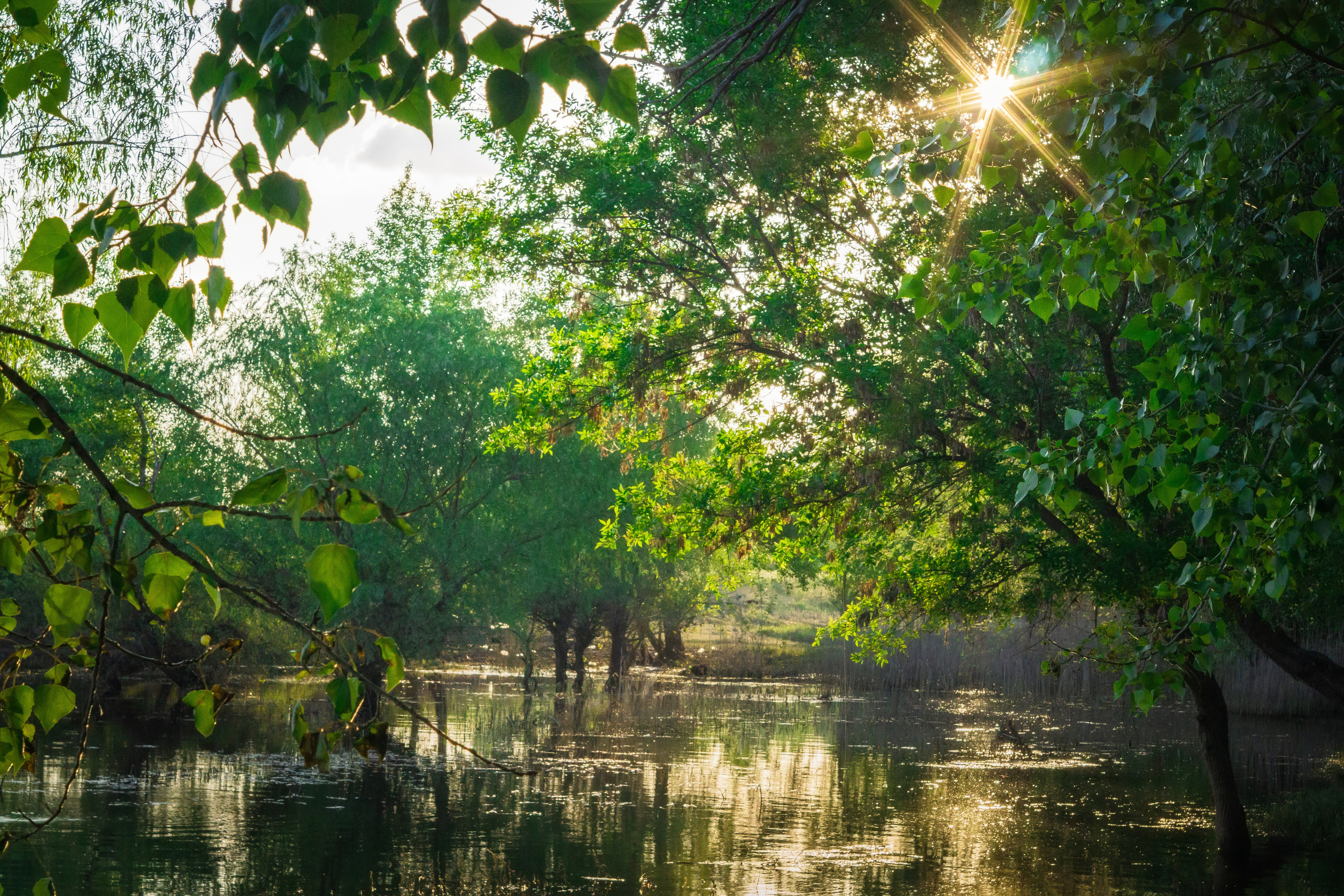 Пейзаж. Предметный фотограф/видеограф Алексей Филатов, г. Тюмень