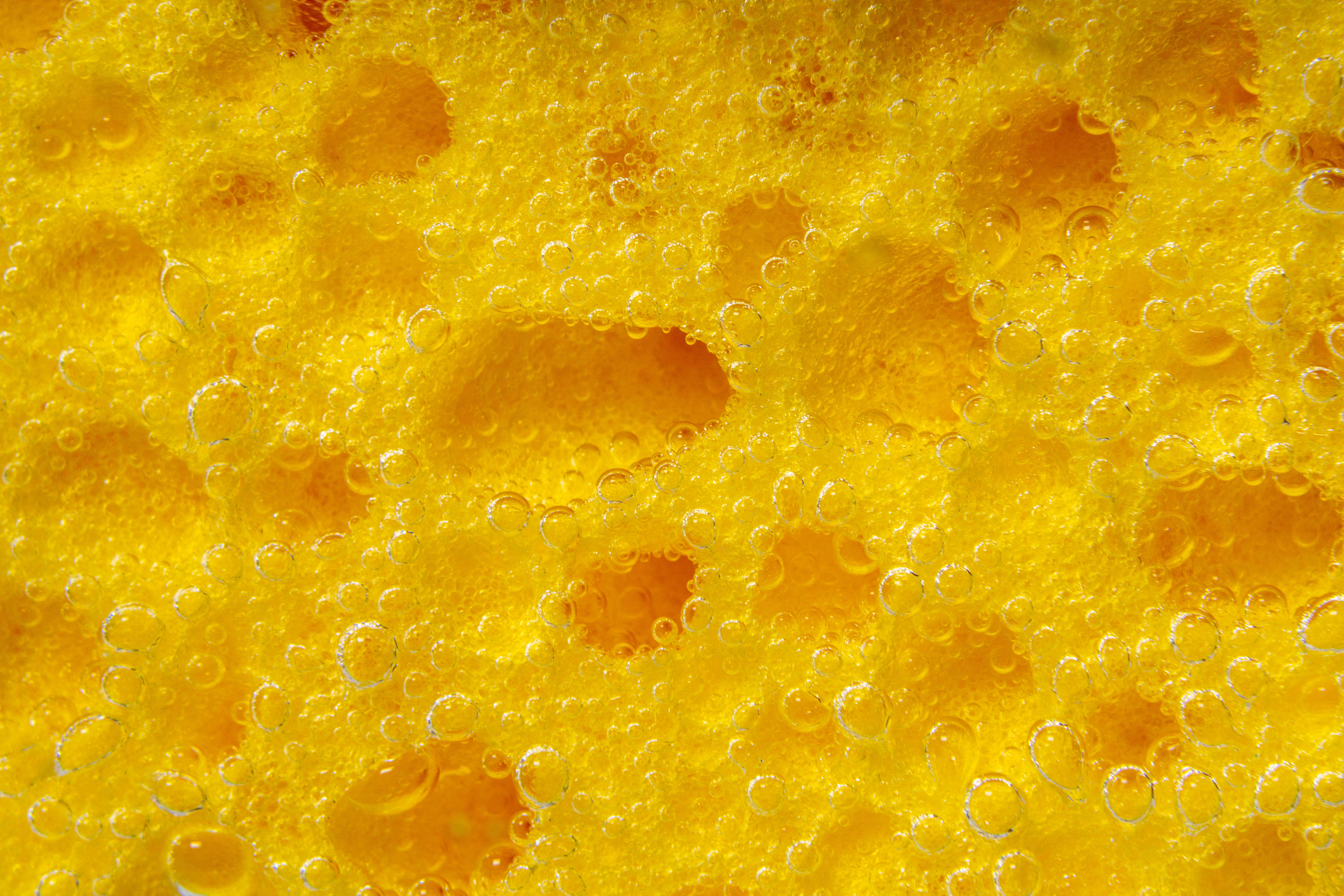 Макро. Предметный фотограф/видеограф Алексей Филатов, г. Тюмень