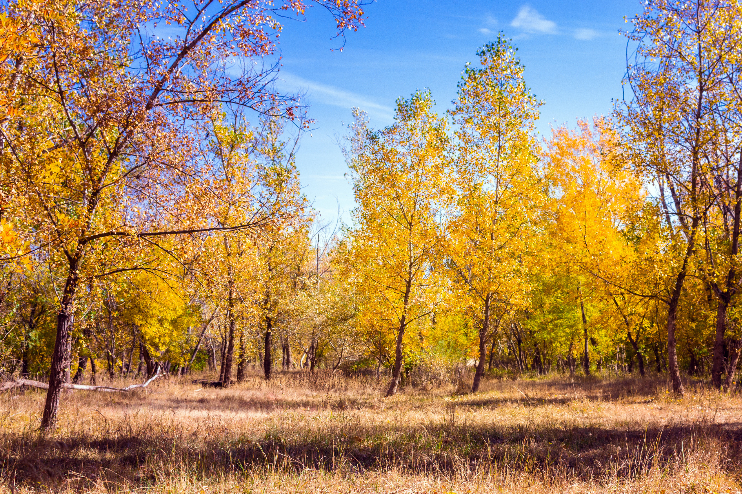 Пейзаж. Предметный фотограф/видеограф Алексей Филатов, г. Тюмень