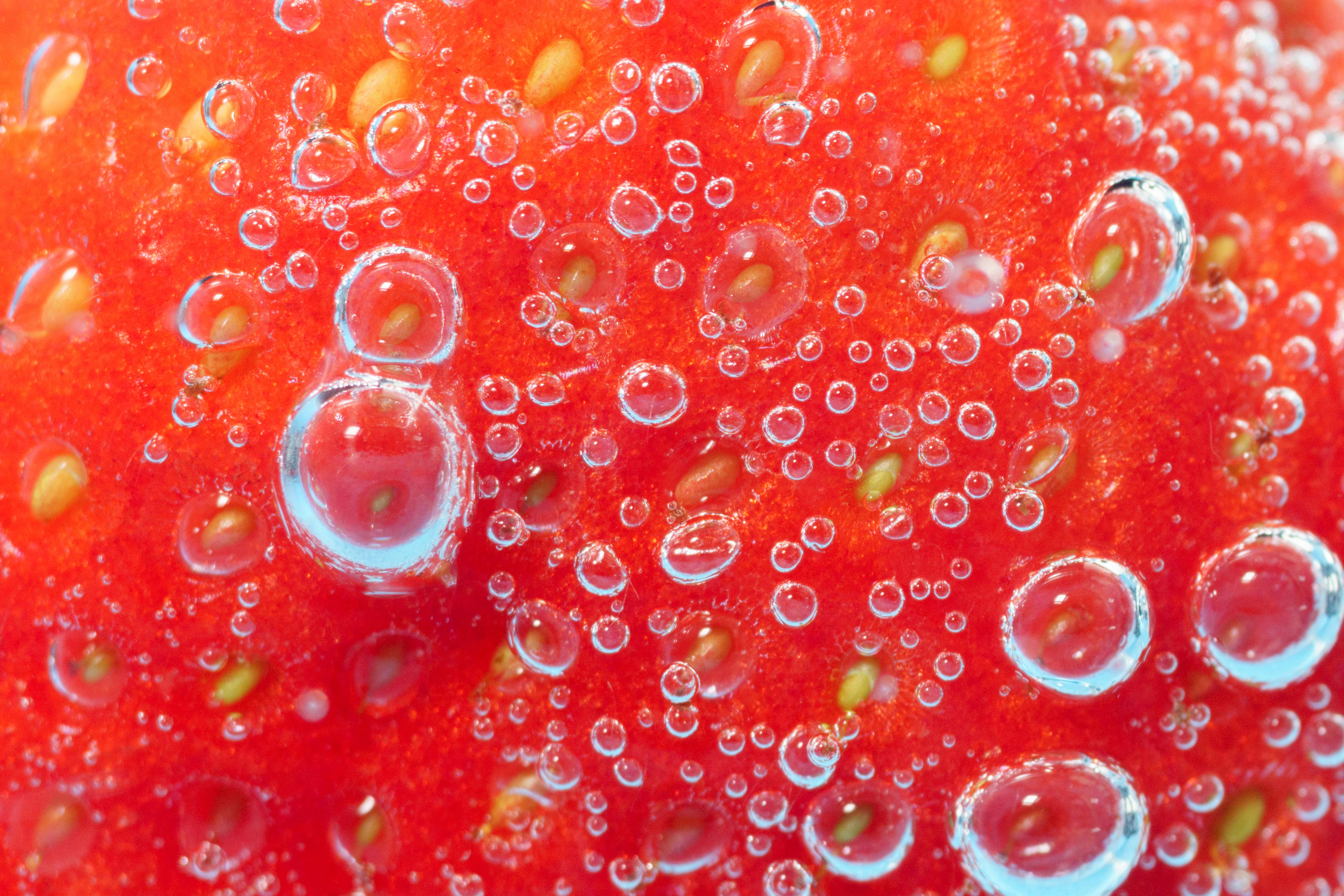 Макро. Предметный фотограф/видеограф Алексей Филатов, г. Тюмень