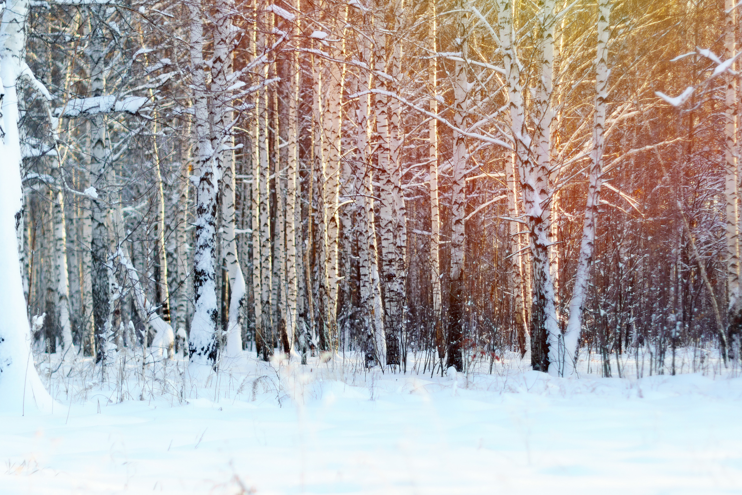 Пейзаж. Предметный фотограф/видеограф Алексей Филатов, г. Тюмень
