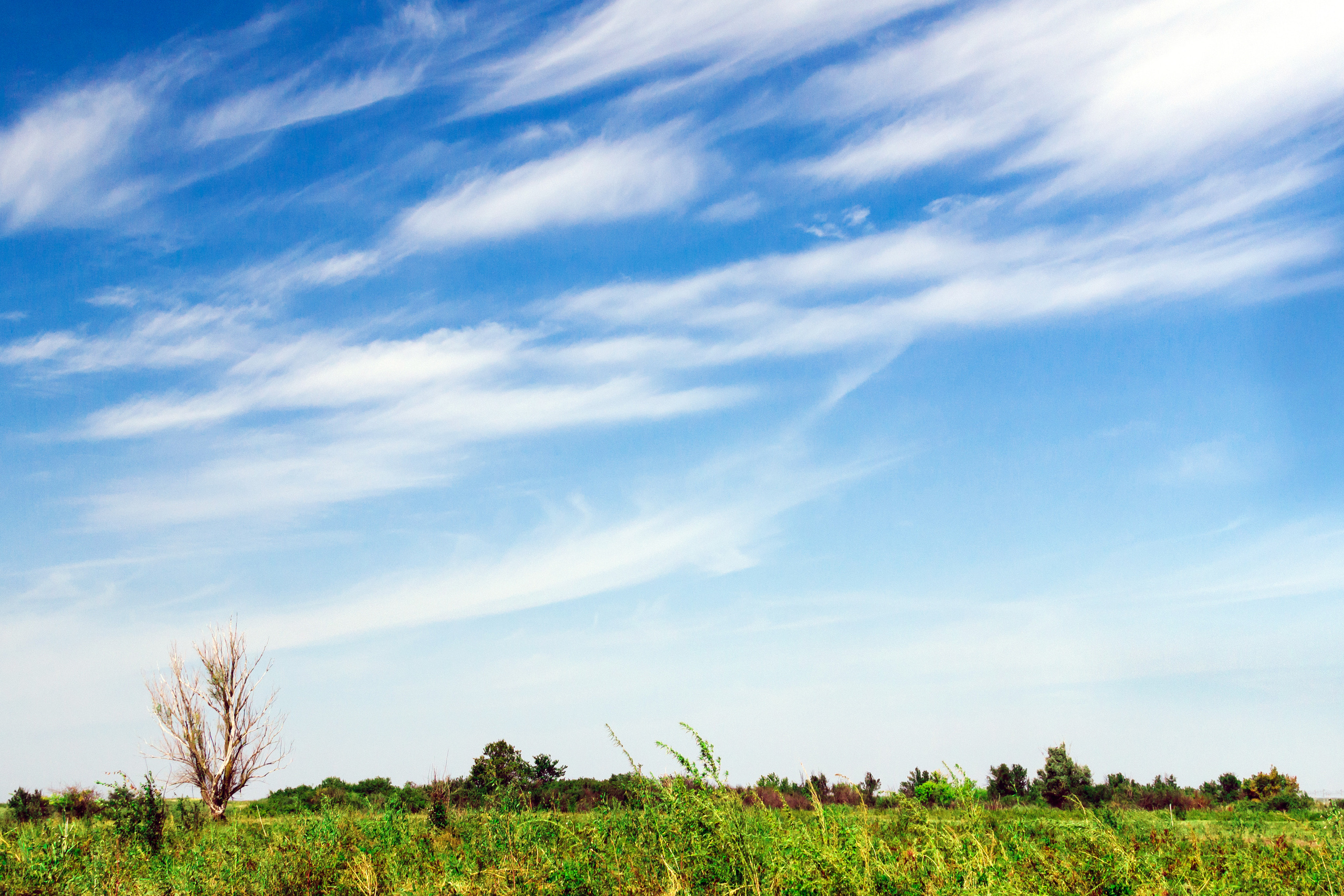 Пейзаж. Предметный фотограф/видеограф Алексей Филатов, г. Тюмень