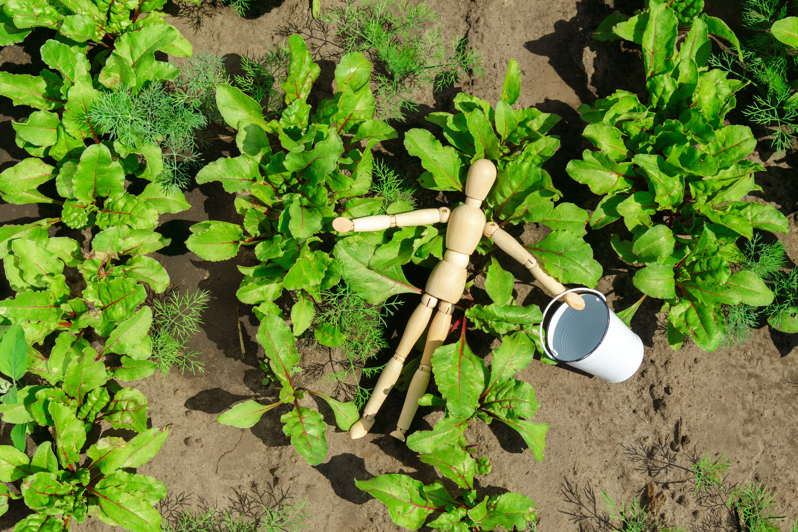 Природа. Предметный фотограф/видеограф Алексей Филатов, г. Тюмень