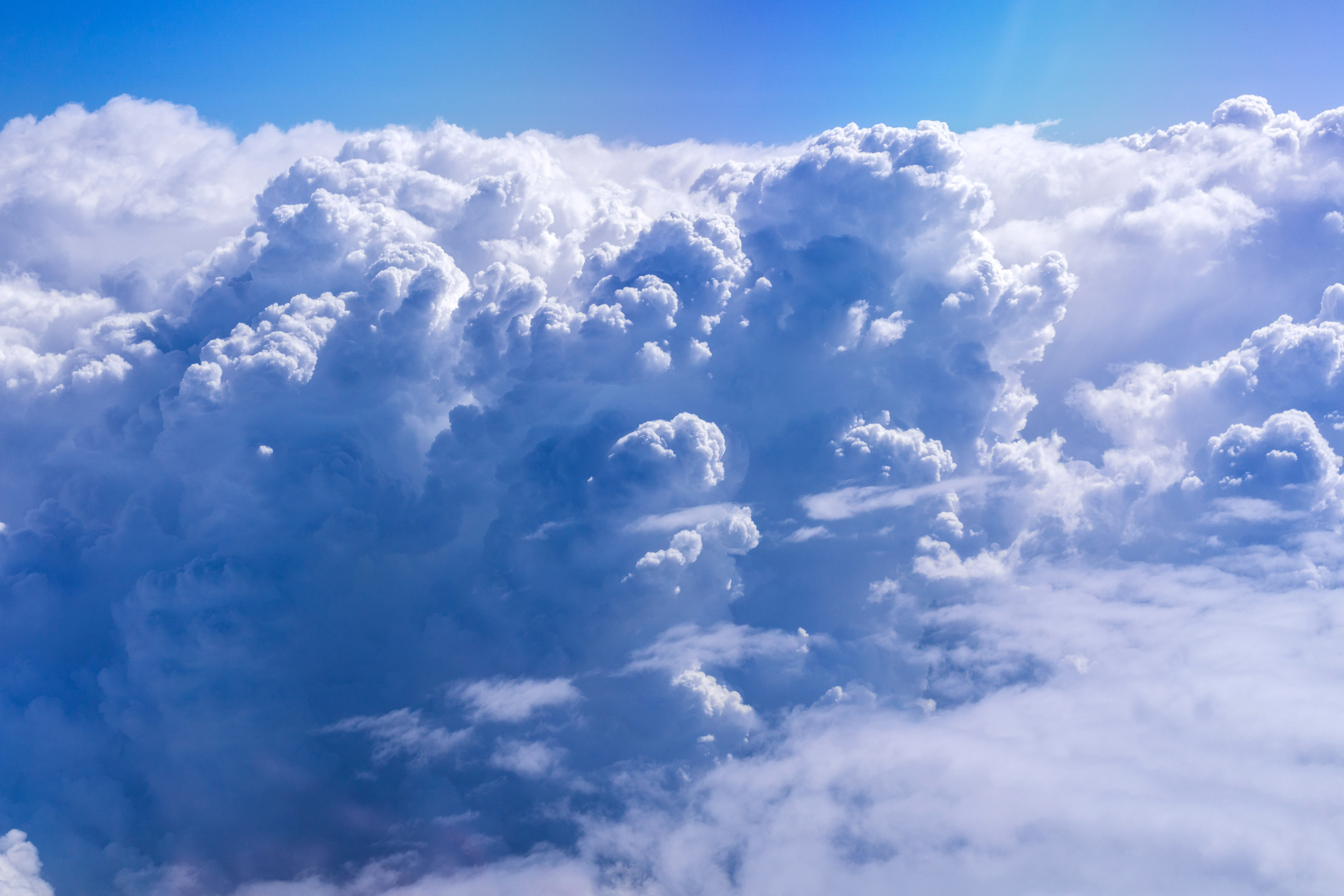 Природа. Предметный фотограф/видеограф Алексей Филатов, г. Тюмень