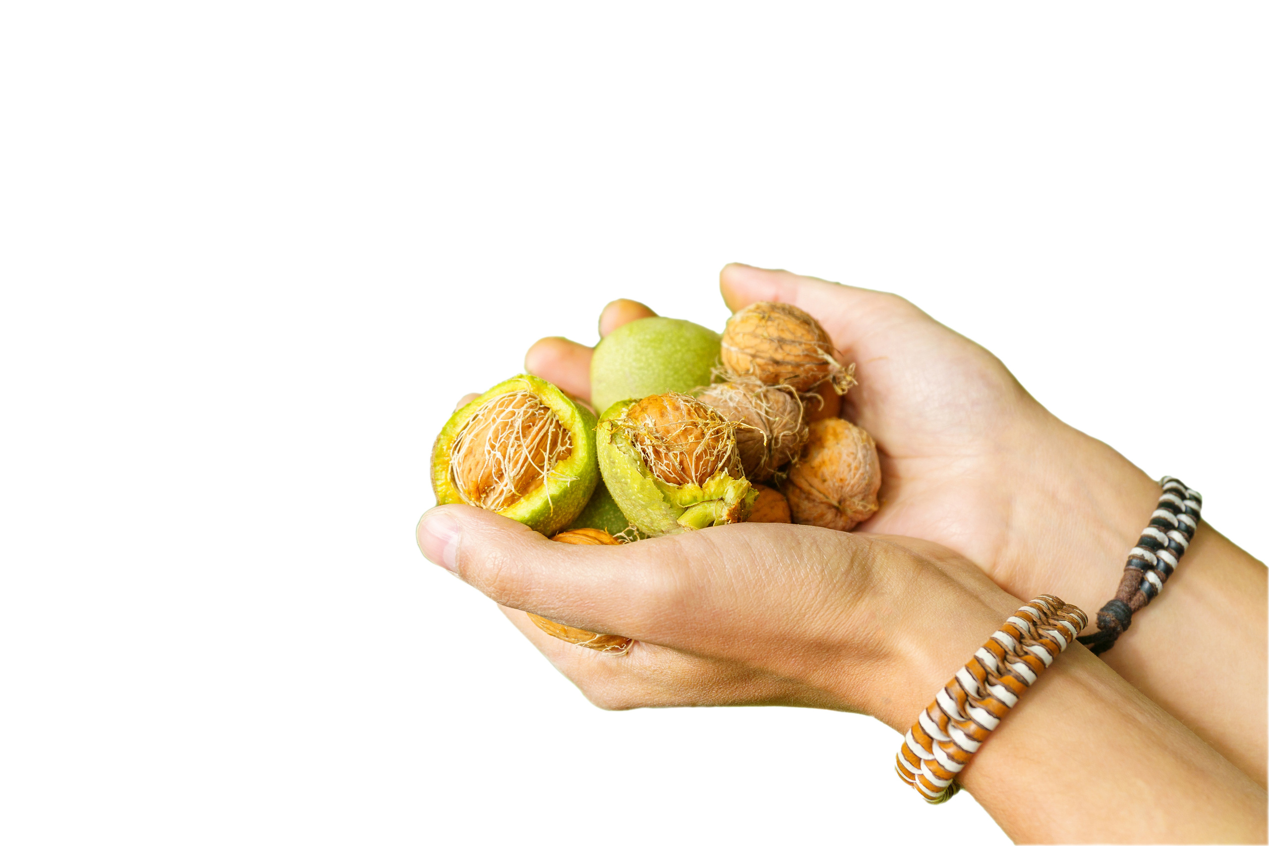 На белом фоне (изоляты). Предметный фотограф/видеограф Алексей Филатов, г. Тюмень