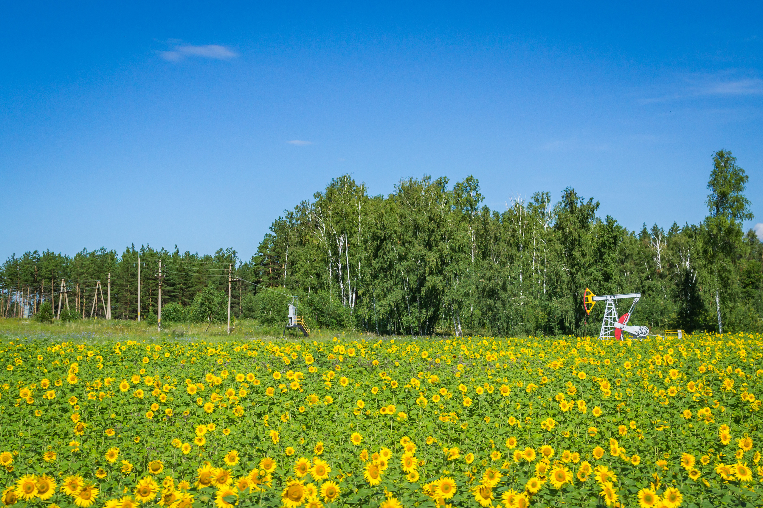 Пейзаж. Предметный фотограф/видеограф Алексей Филатов, г. Тюмень