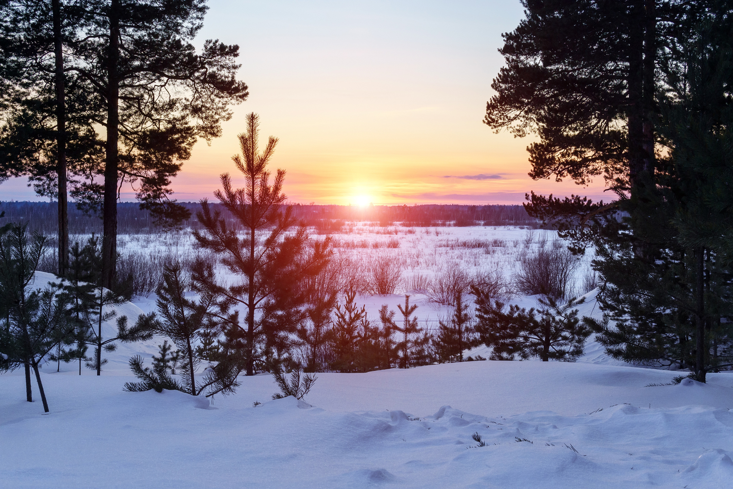 Пейзаж. Предметный фотограф/видеограф Алексей Филатов, г. Тюмень