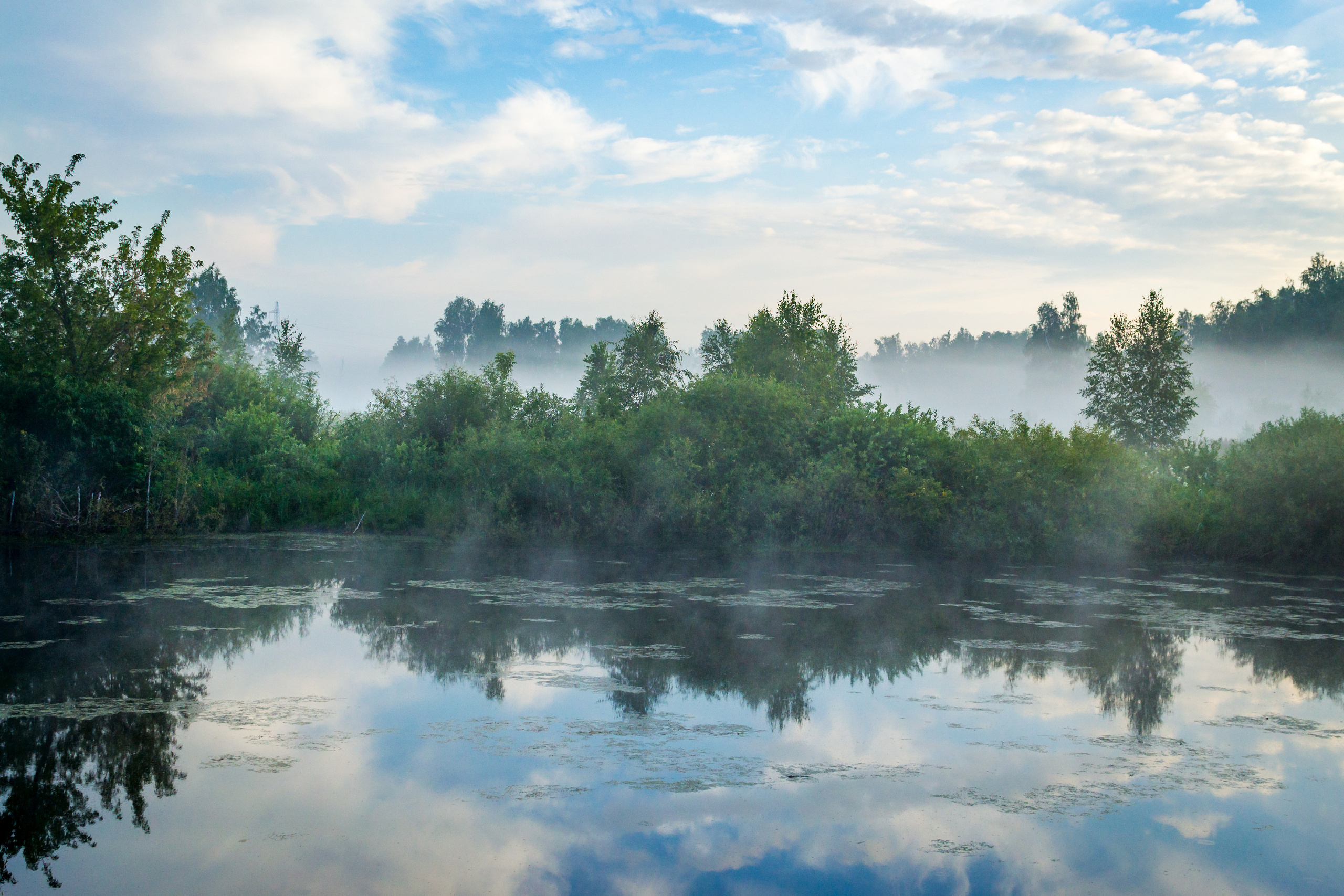 Пейзаж. Предметный фотограф/видеограф Алексей Филатов, г. Тюмень