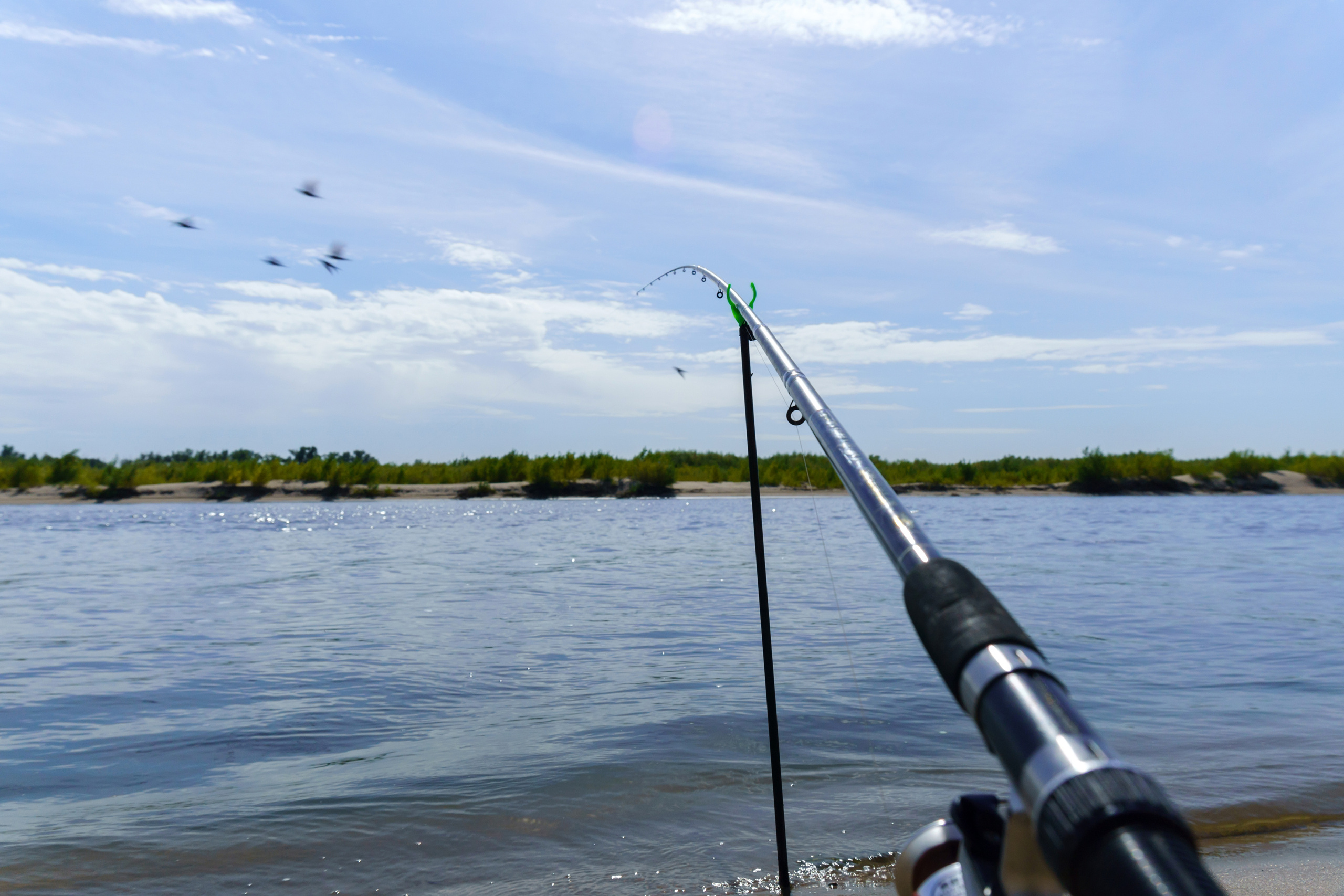 Пейзаж. Предметный фотограф/видеограф Алексей Филатов, г. Тюмень
