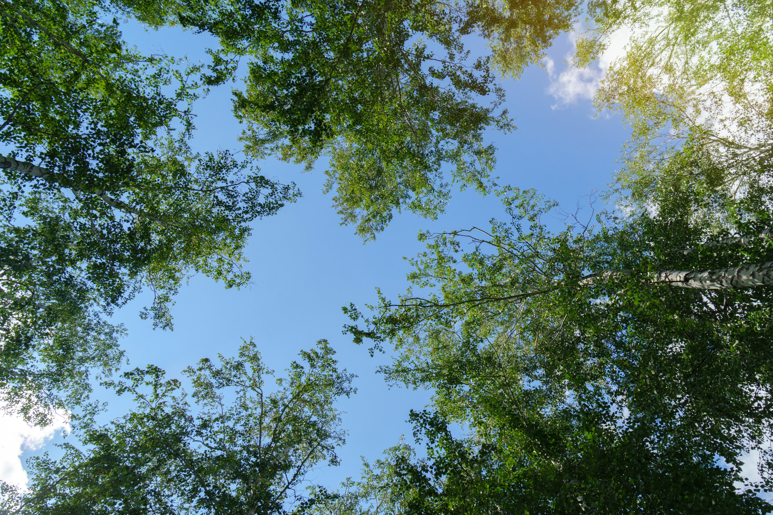 Пейзаж. Предметный фотограф/видеограф Алексей Филатов, г. Тюмень